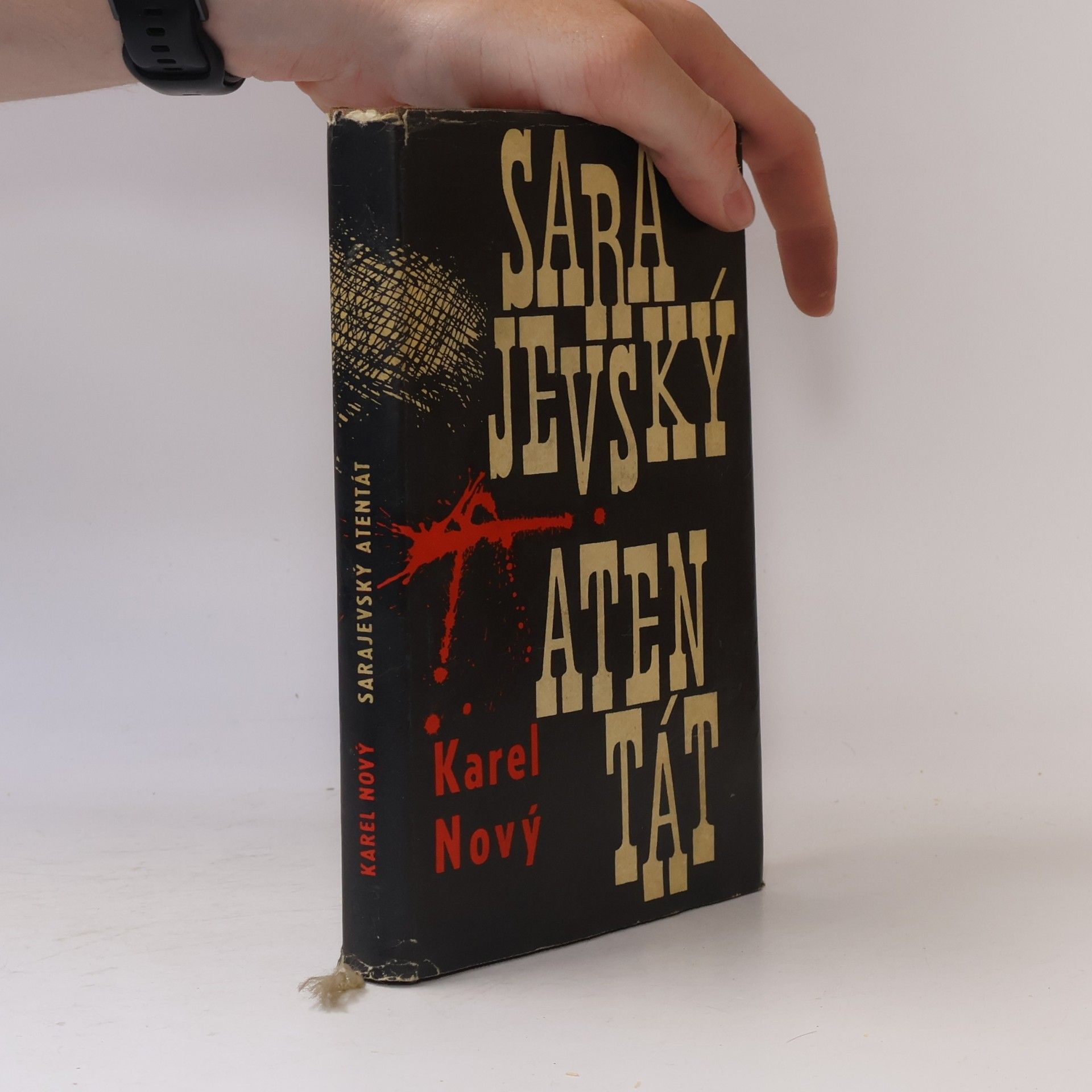 Karel Nový Sarajevský atentát