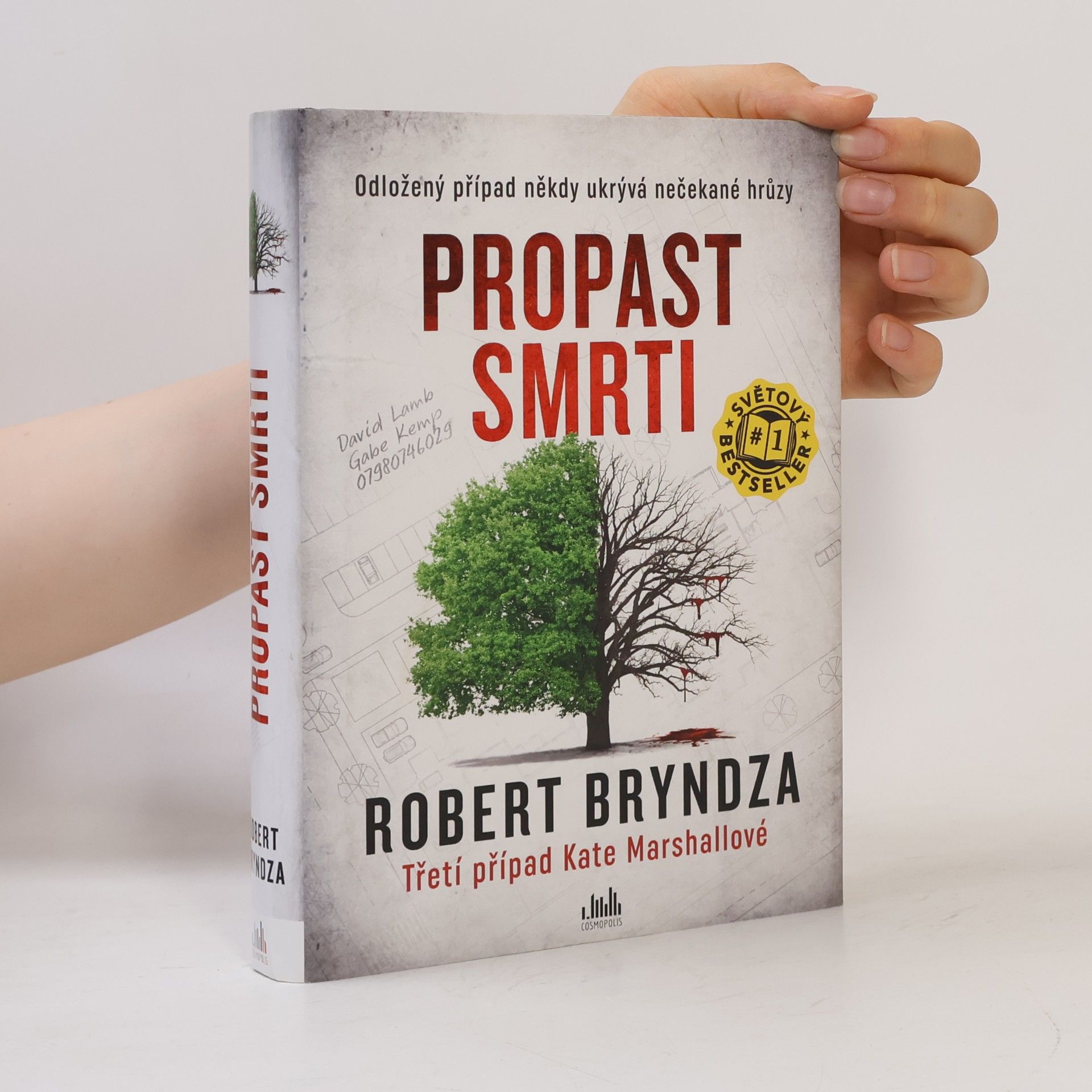 Robert Bryndza Propast smrti