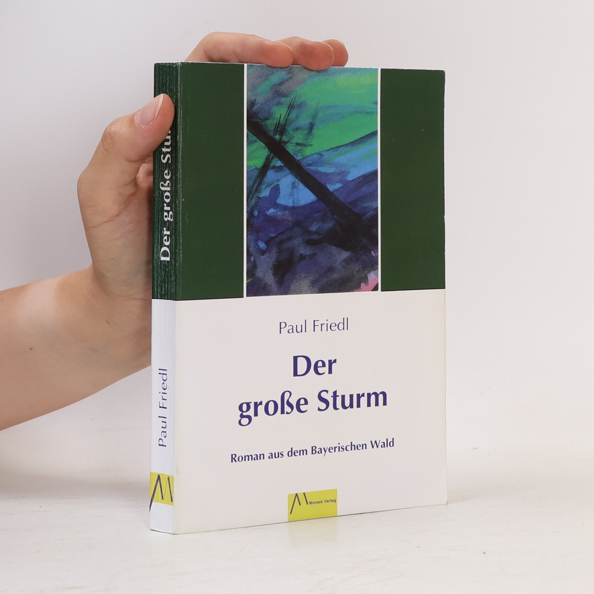 Paul Friedl Der grosse Sturm