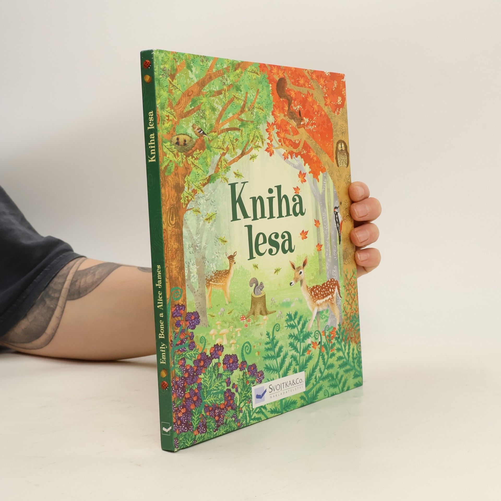 Kolektiv autorů Kniha lesa