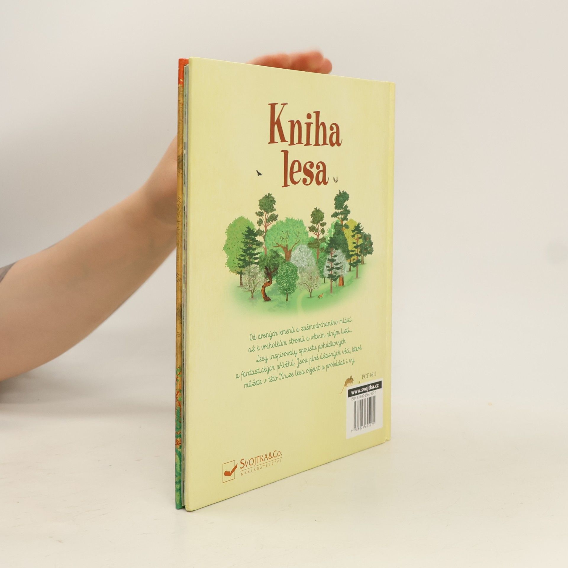 Kolektiv autorů Kniha lesa