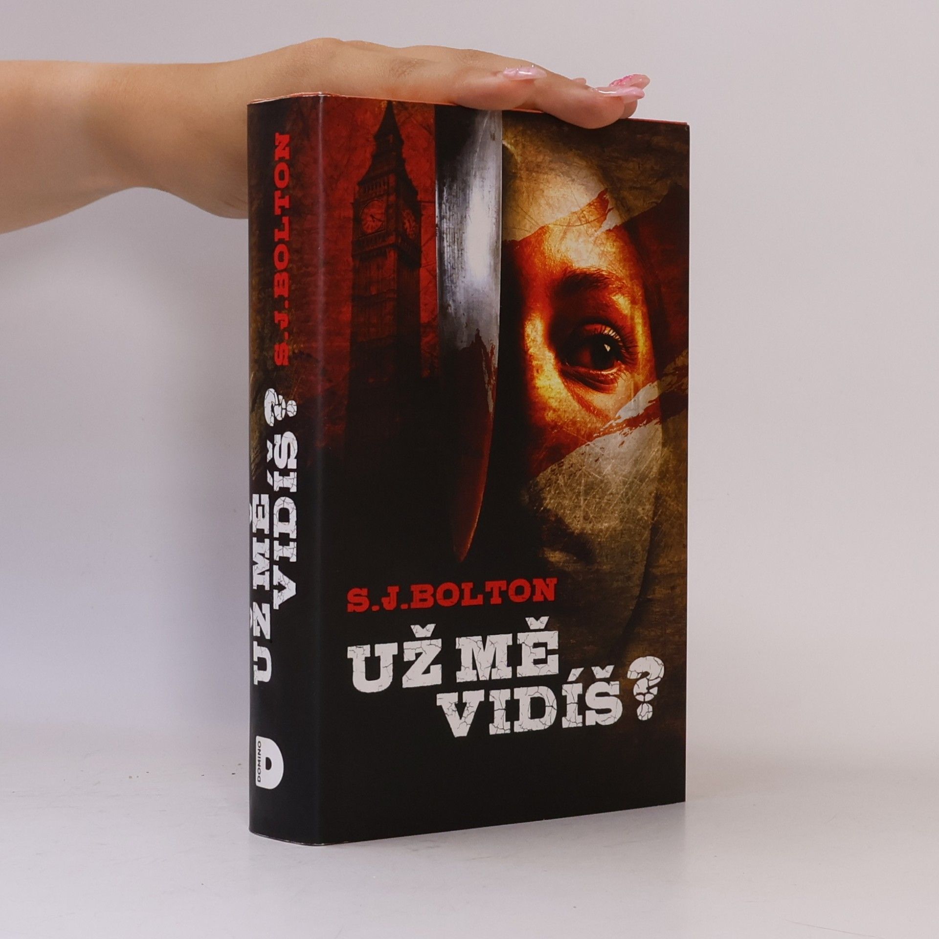 S. J. Bolton Už mě vidíš?