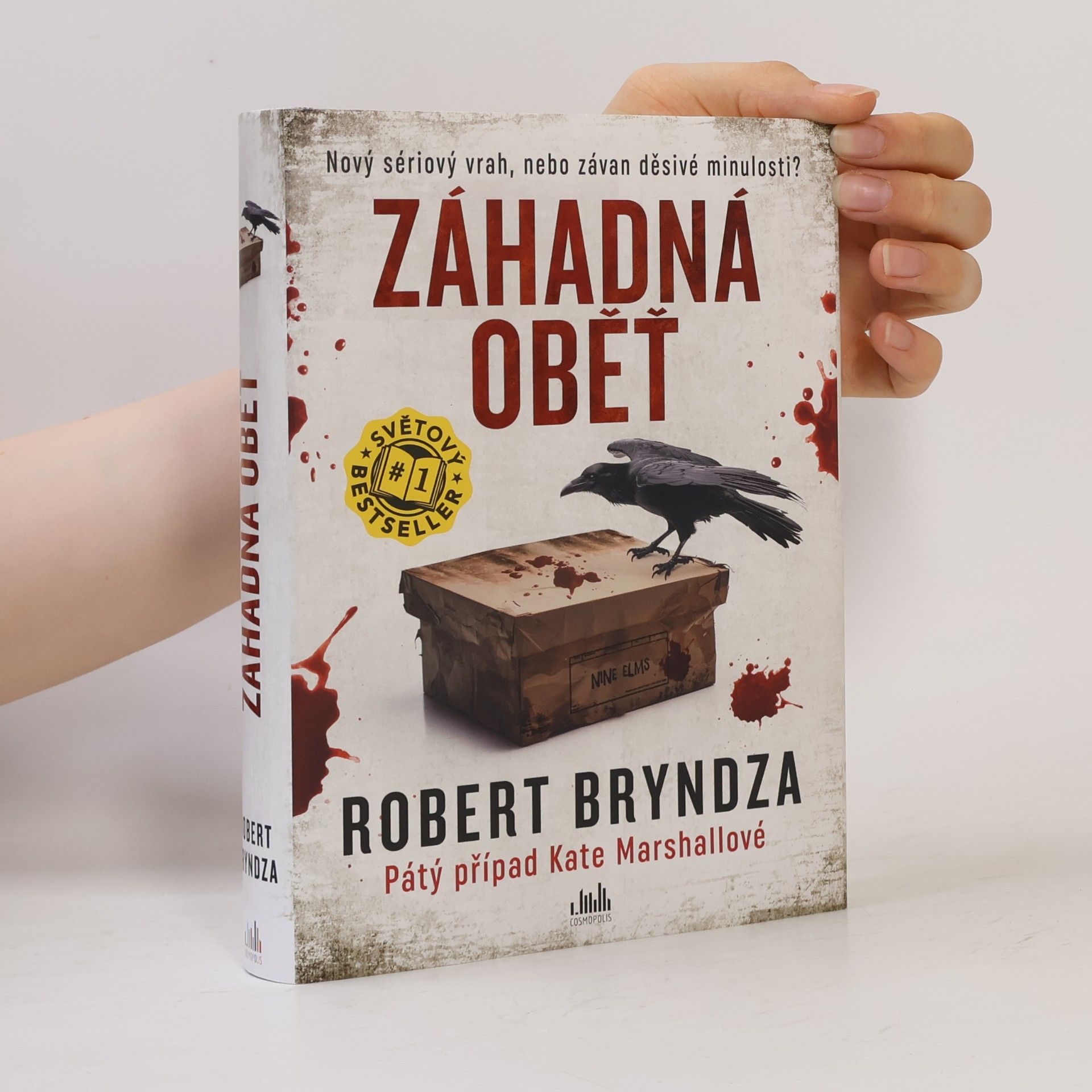 Robert Bryndza Záhadná oběť