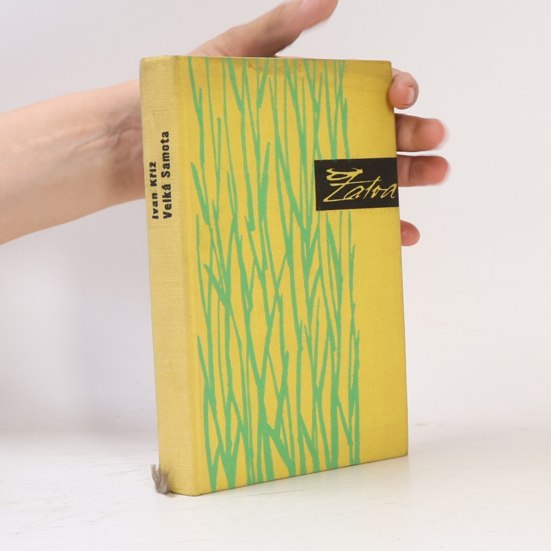 Ivan Kříž Velká samota