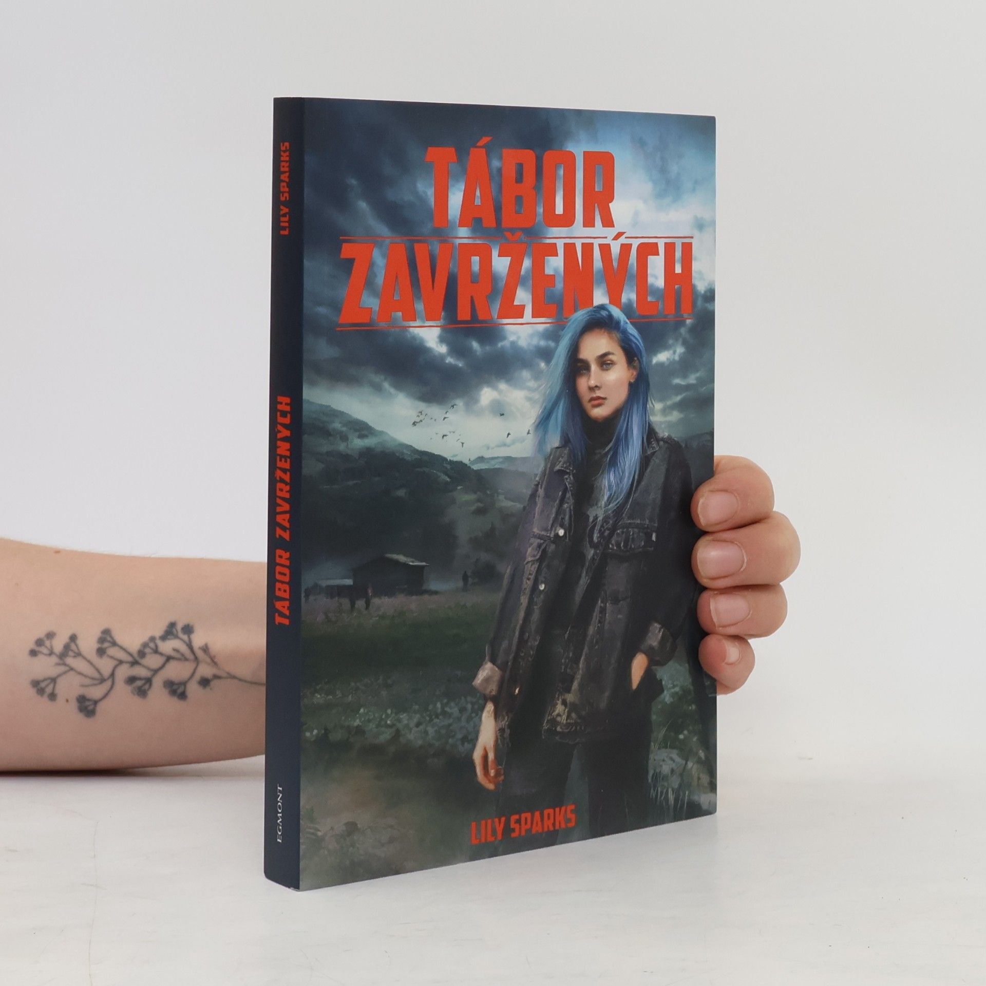 Lily Sparks Tábor zavržených