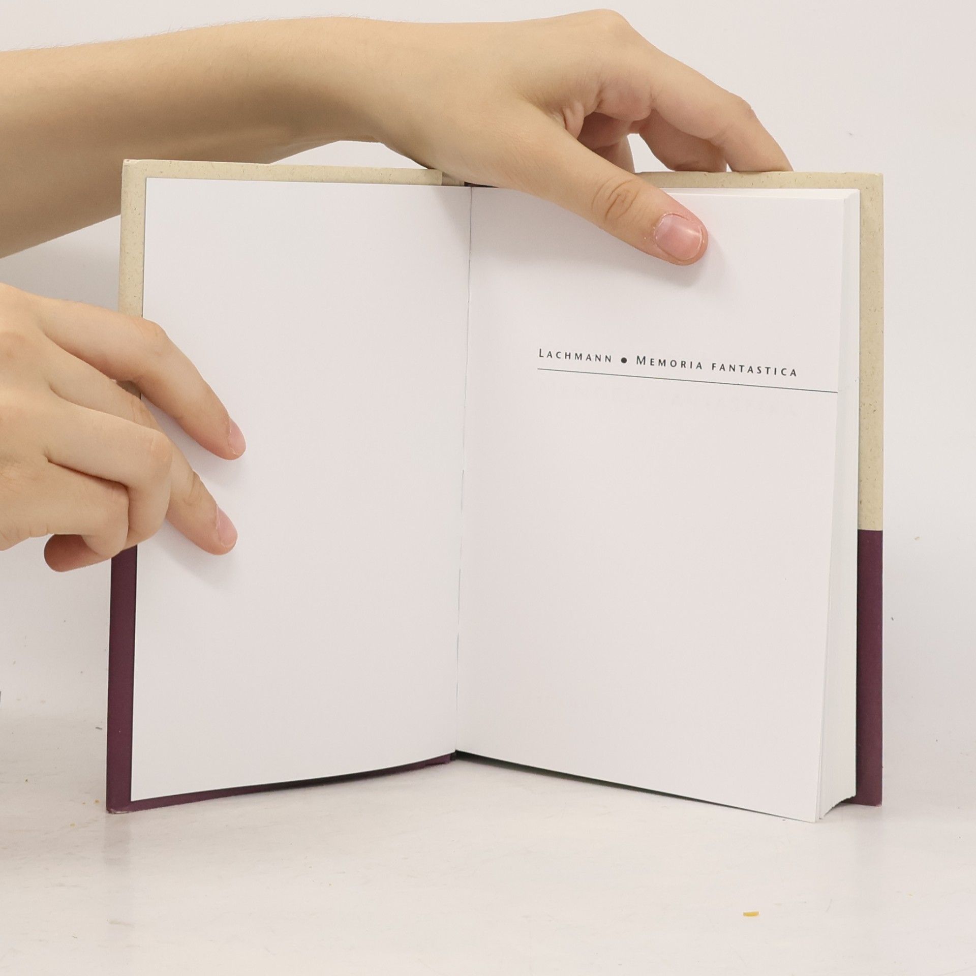 Renate Lachmann-Schmohl Memoria fantastika