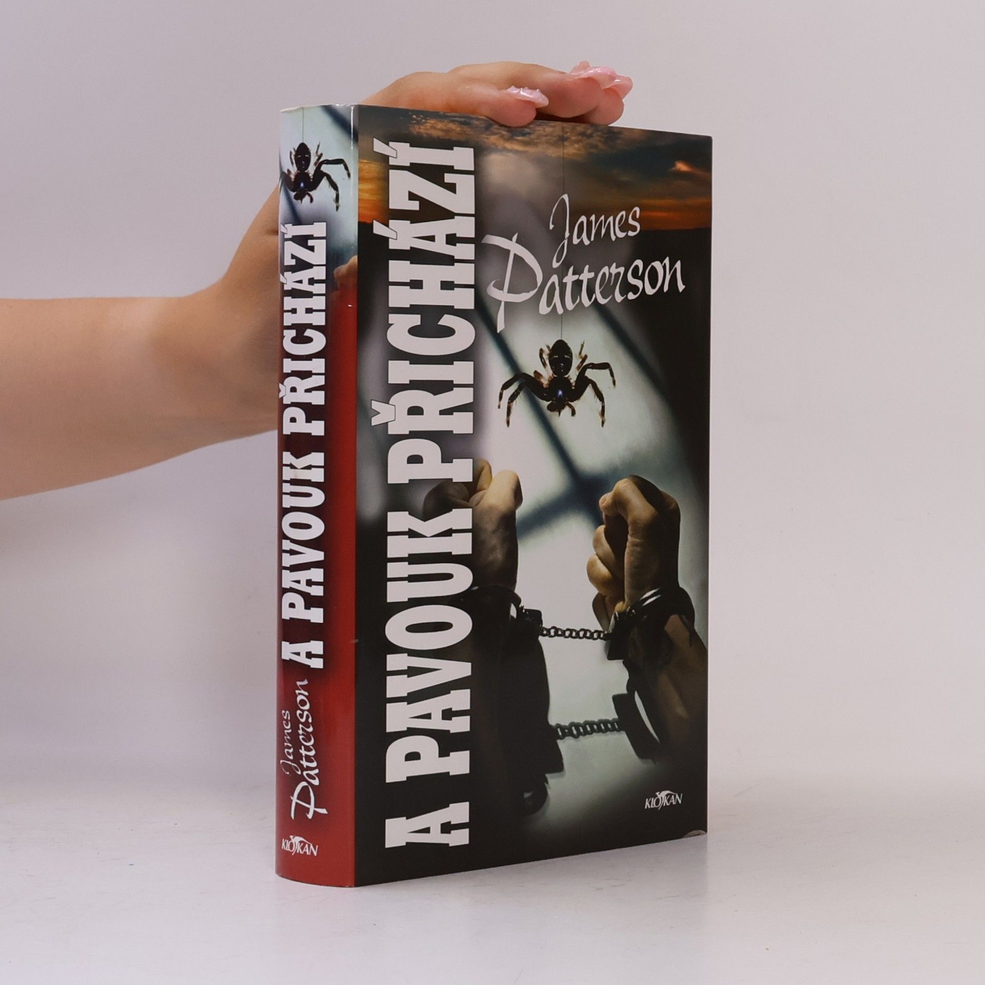 James Patterson A pavouk přichází