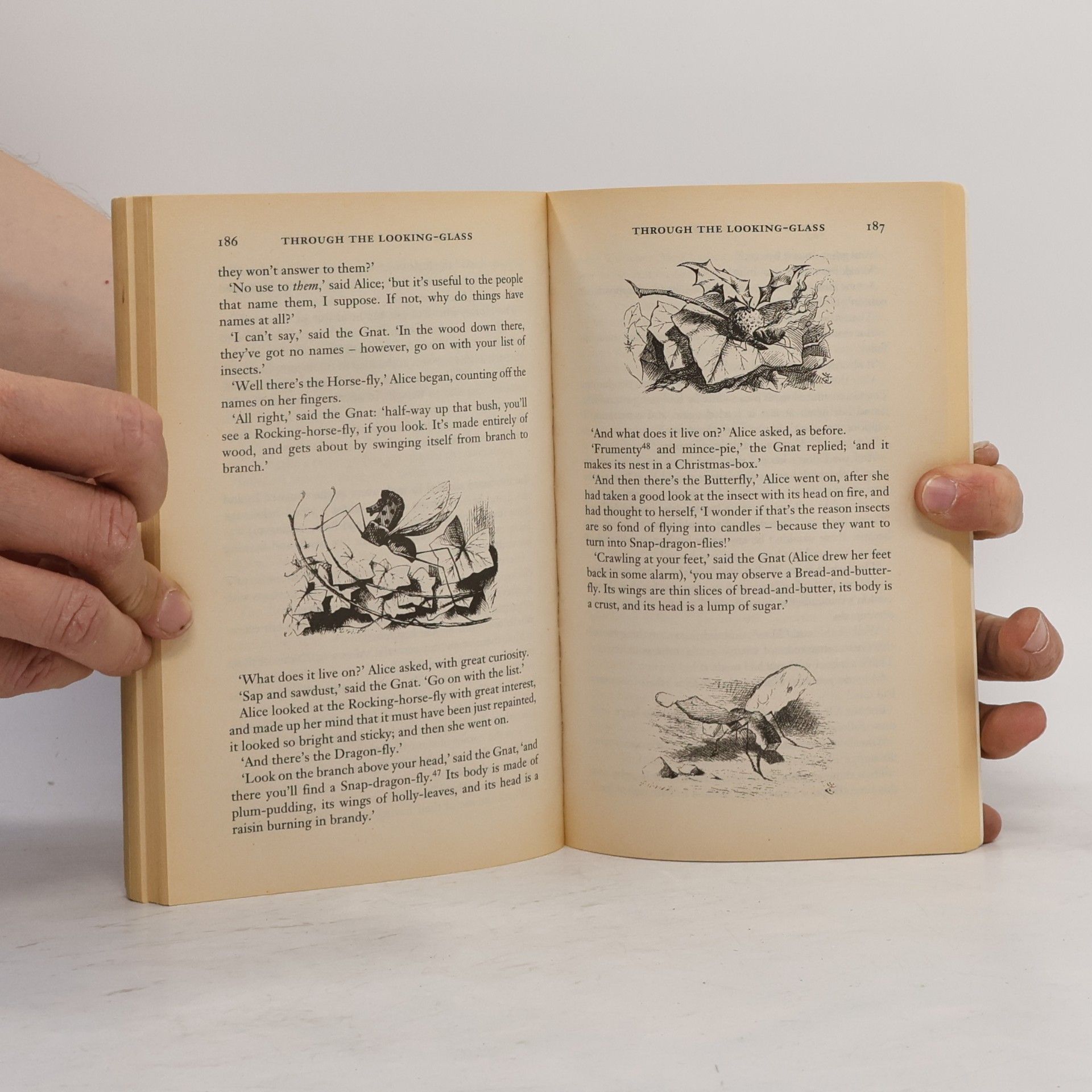 Lewis Carroll Alice's Adventures in Wonderland & Through the Looking Glass