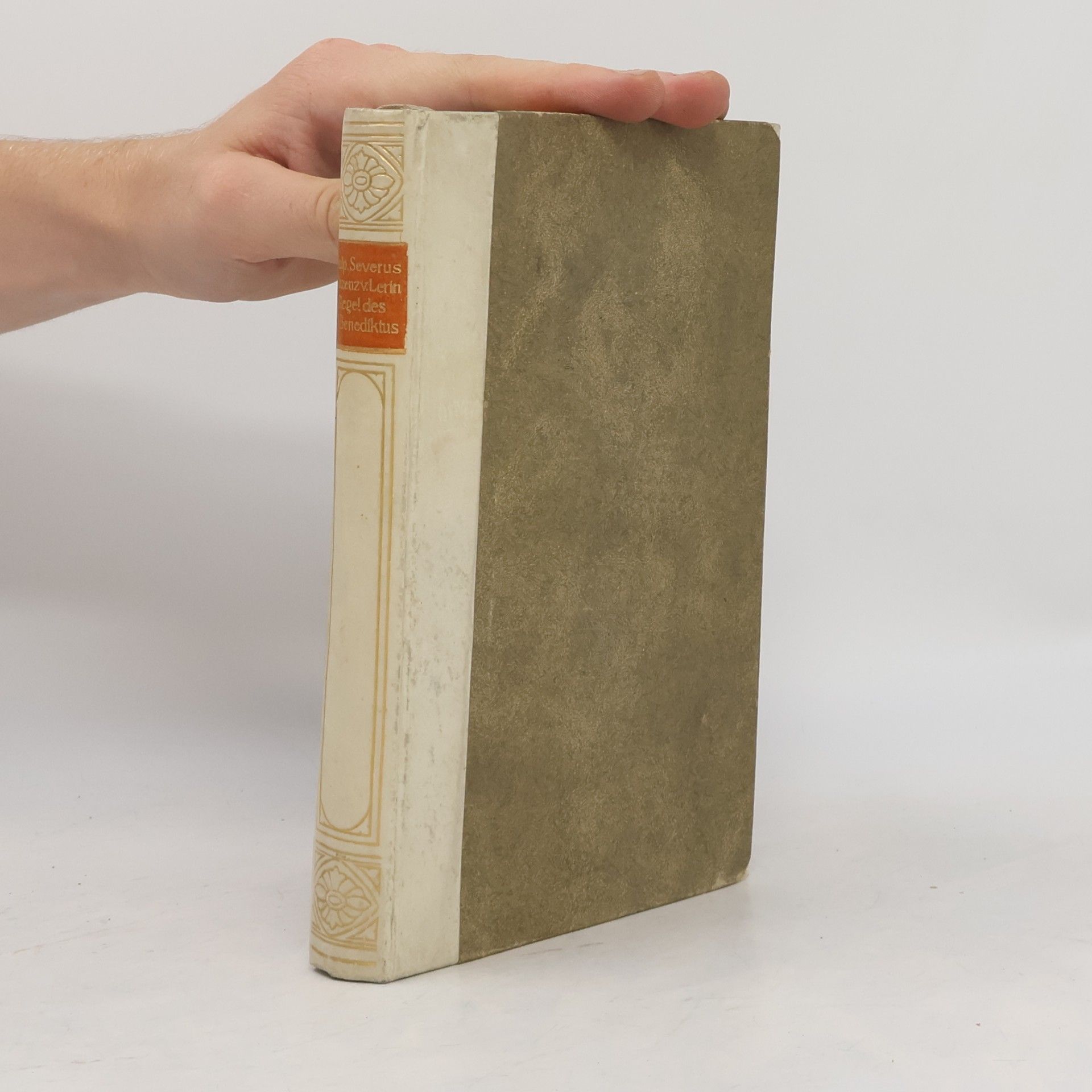 Die Schriften des Sulpicius Severus über den heiligen Martinus