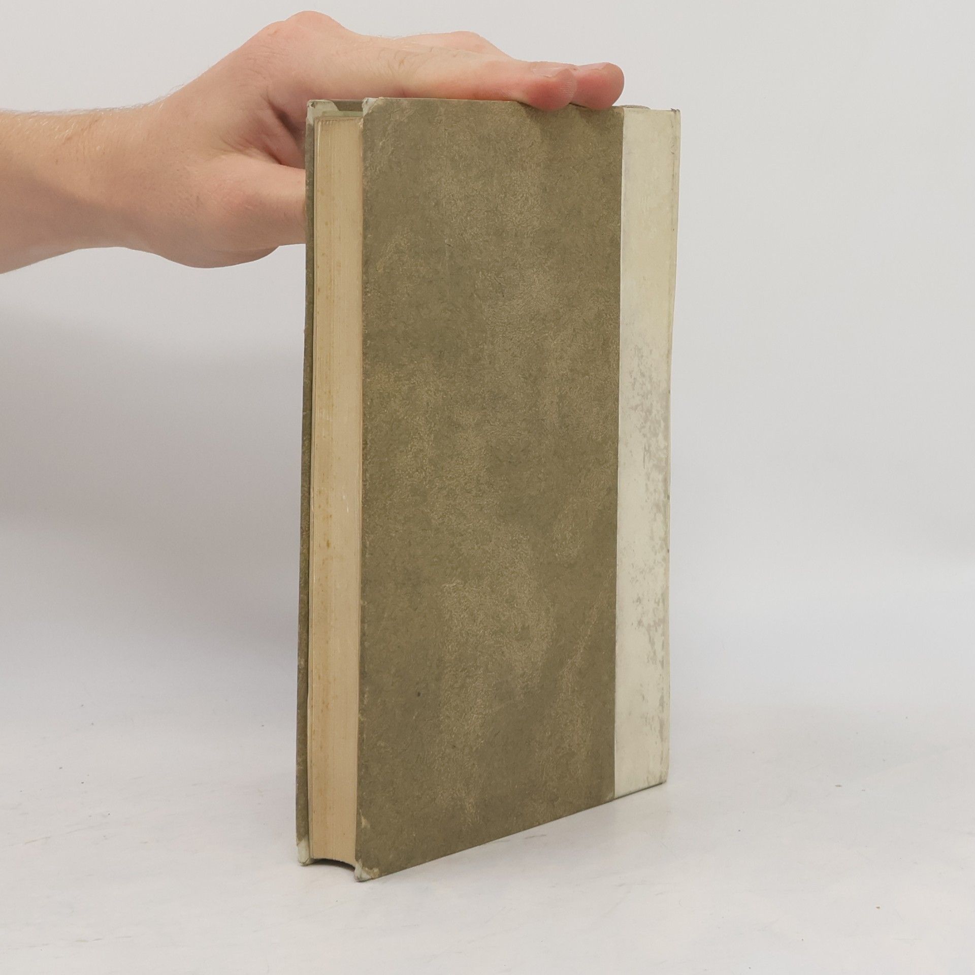Sulpicius Severus Die Schriften des Sulpicius Severus über den heiligen Martinus