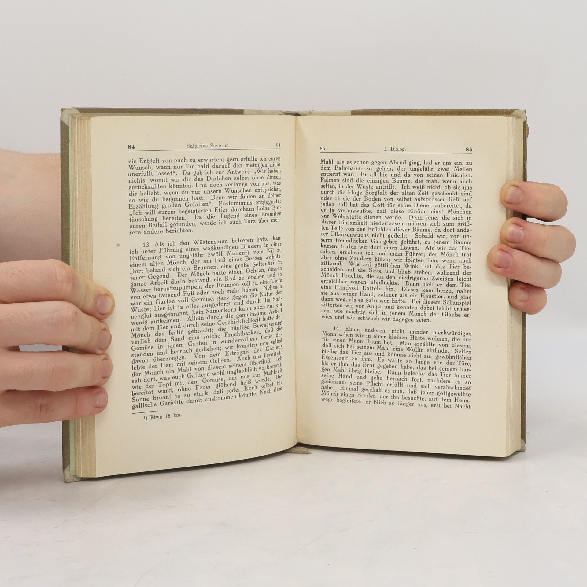 Sulpicius Severus Die Schriften des Sulpicius Severus über den heiligen Martinus