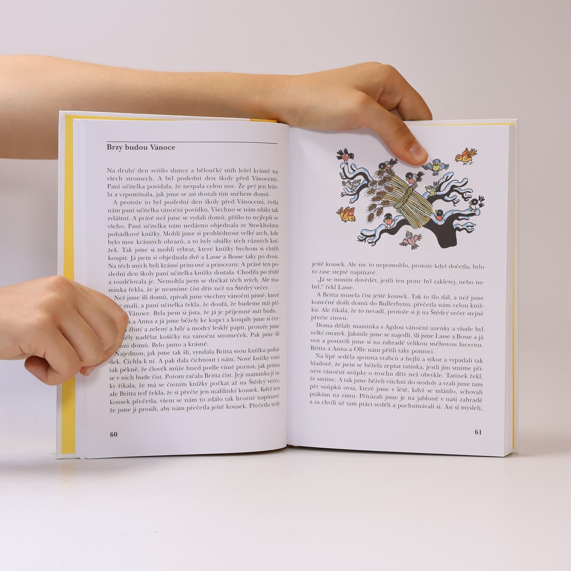 Astrid Lindgren Děti z Bullerbynu