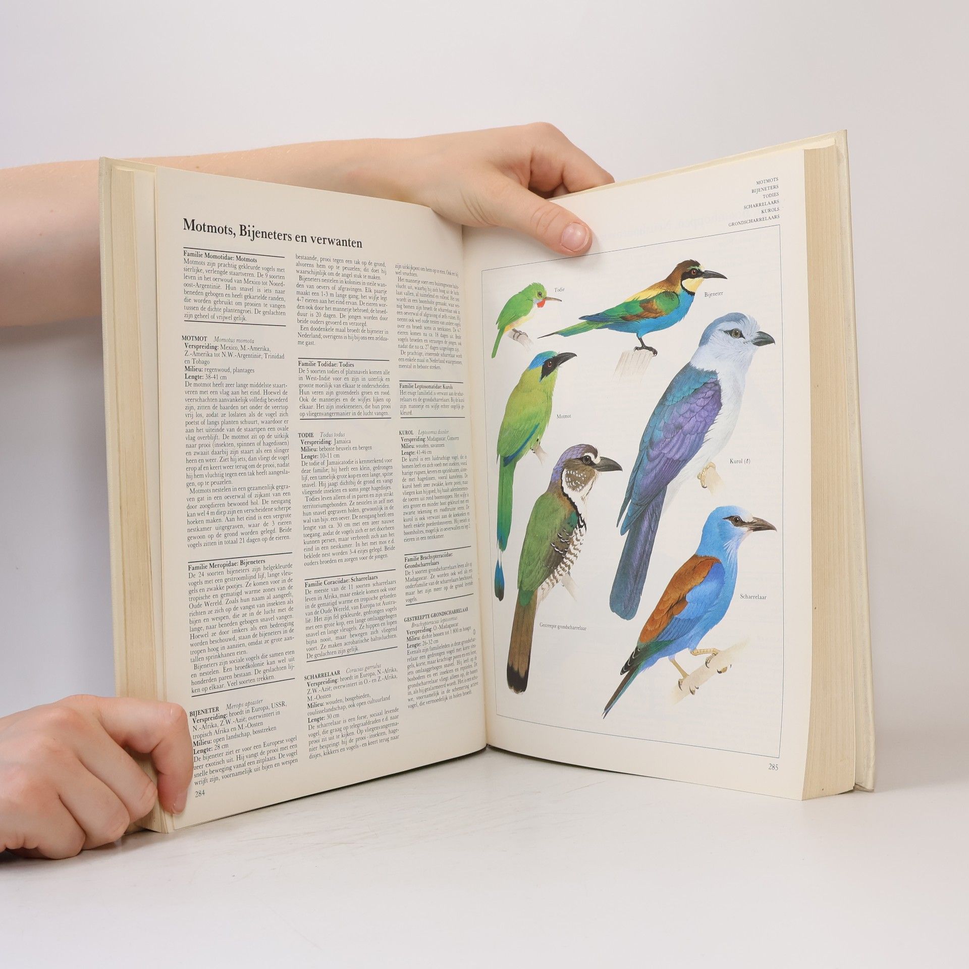 Philip J. Whitfield Nieuwe Spectrum: Encyclopedie van het Dierenrijk