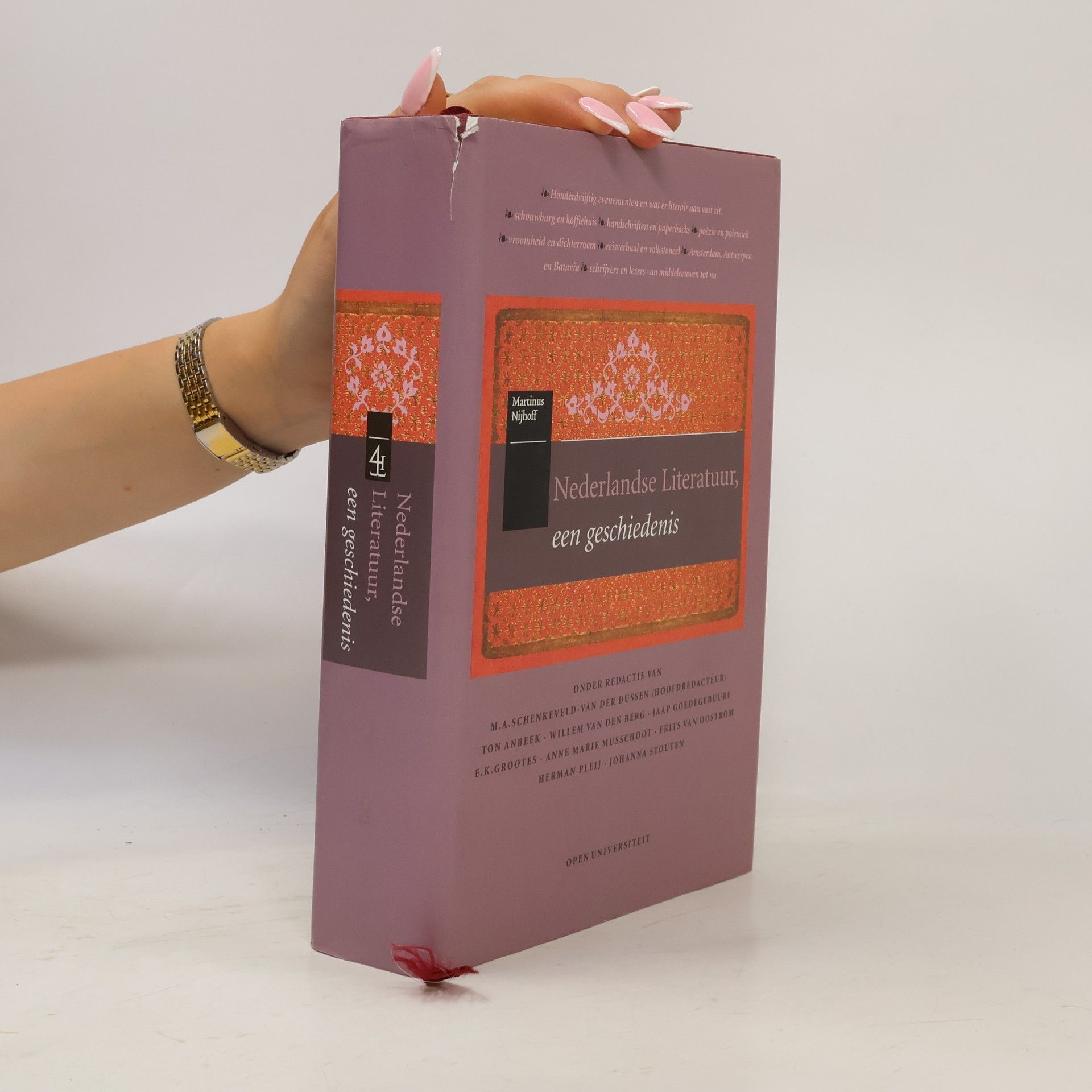 Nederlandse literatuur, een geschiedenis