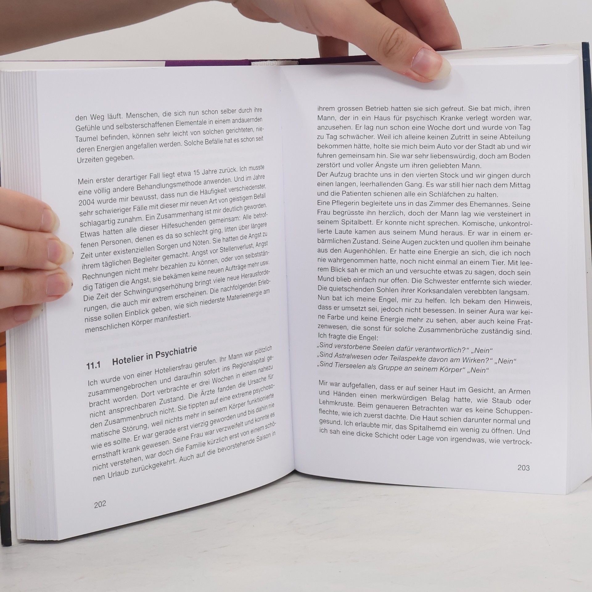 Autorenkollektiv Erlebnisse mit den Zwischenwelten Bd 2. Erlösungen