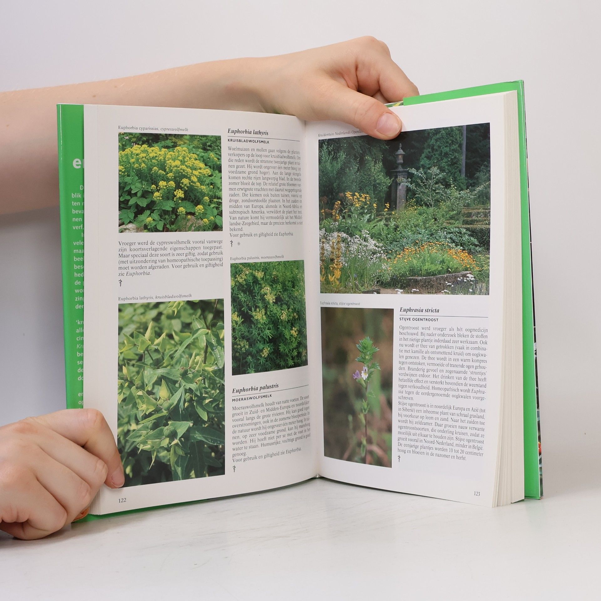Nico Vermeulen Kruiden encyclopedie