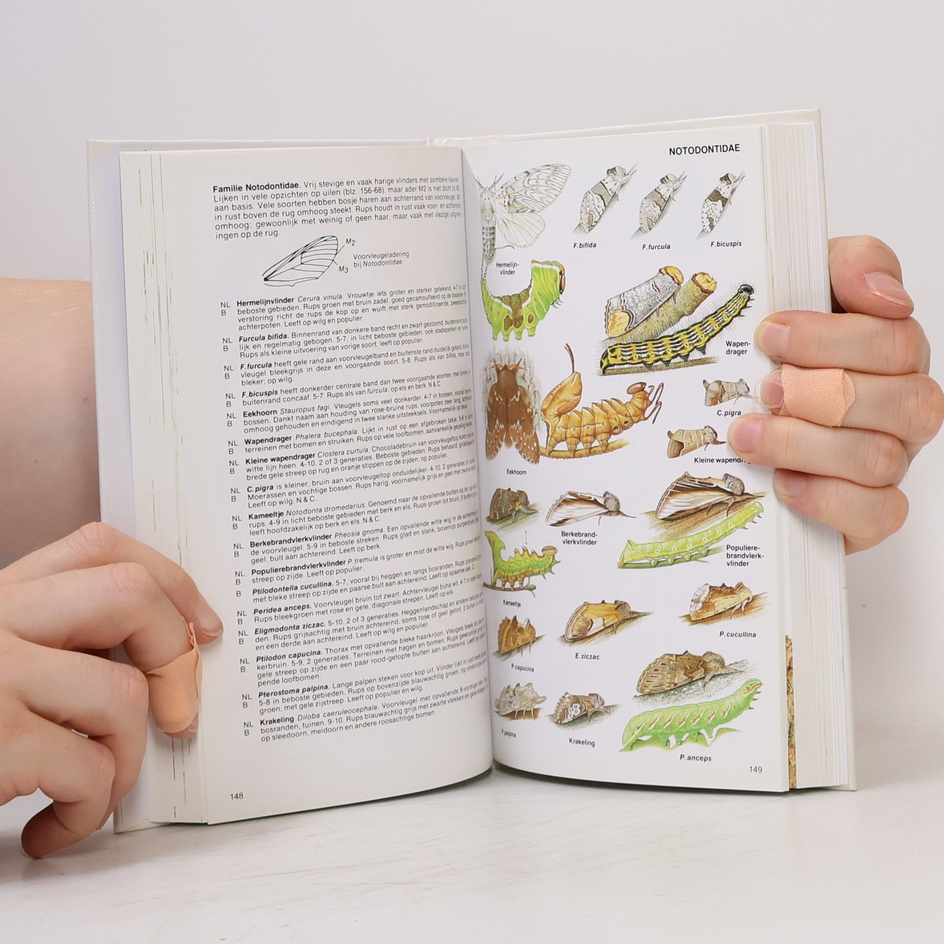 Michael Chinery Nieuwe Insectengids