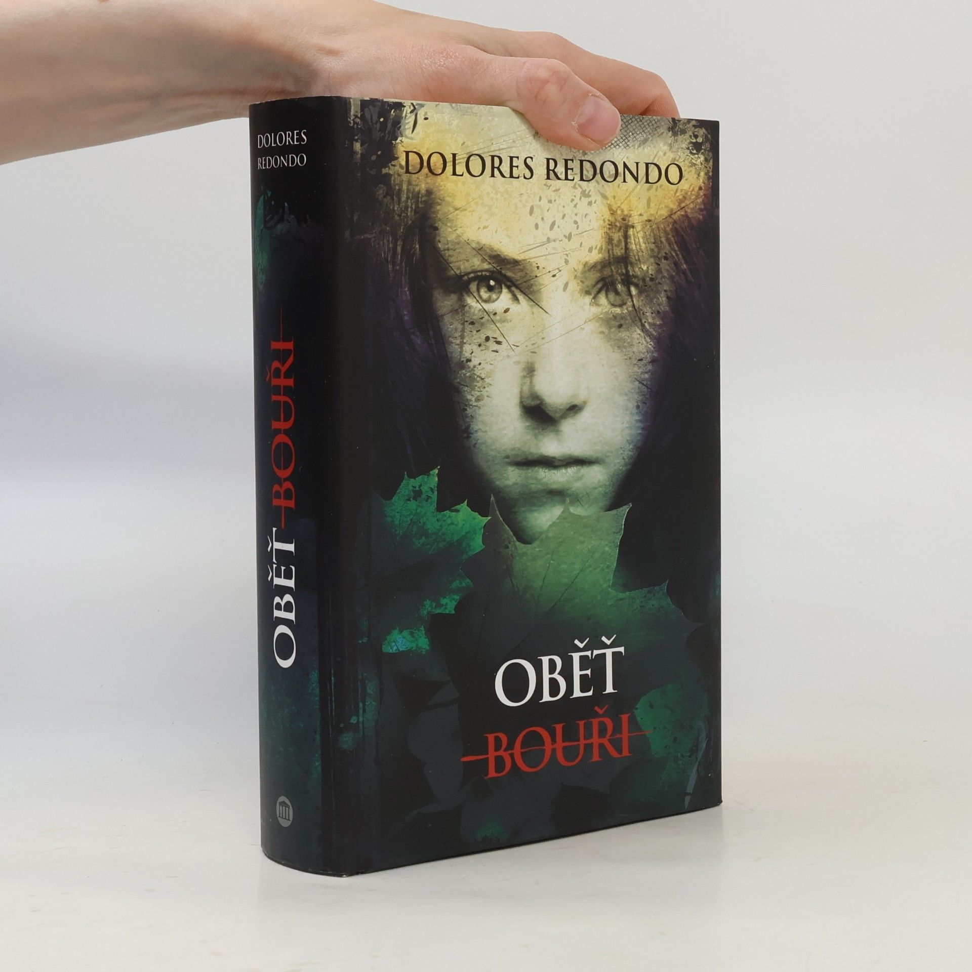 Dolores Redondo Oběť bouři