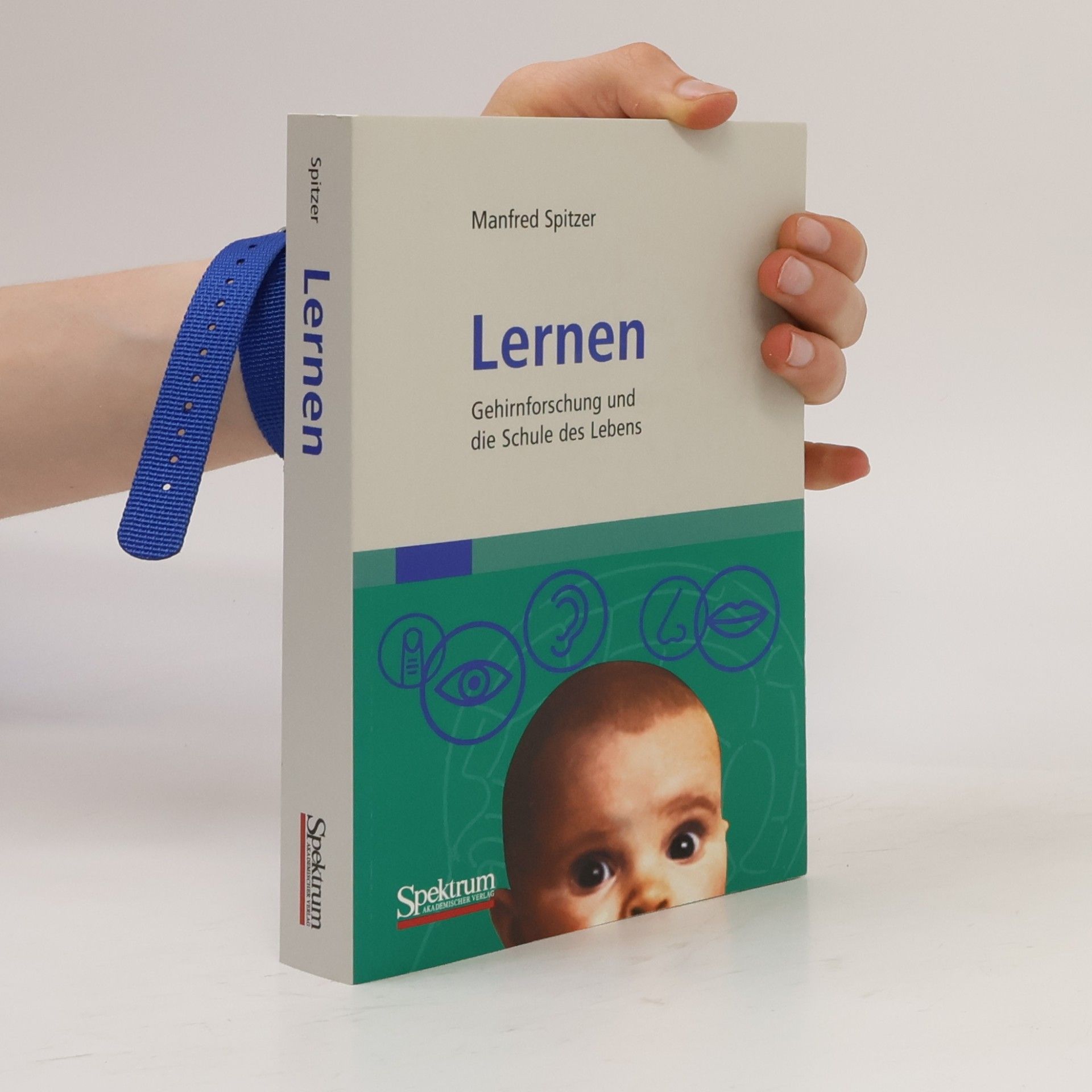 Manfred Spitzer Lernen : Gehirnforschung und die Schule des Lebens