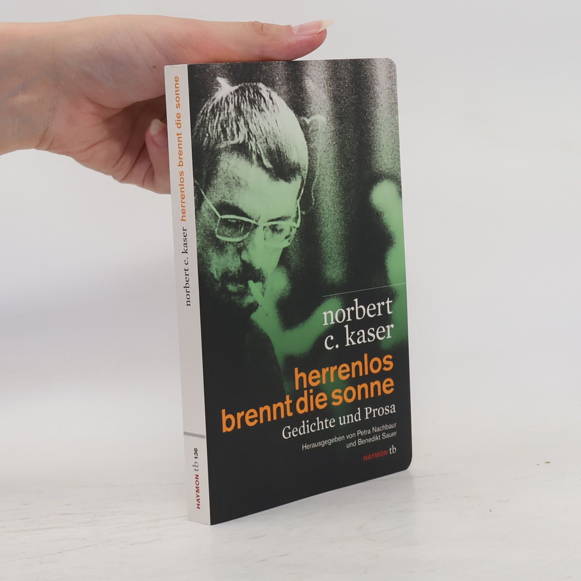 Benedikt Sauer Haymon Taschenbuch - 136: Herrenlos brennt die Sonne