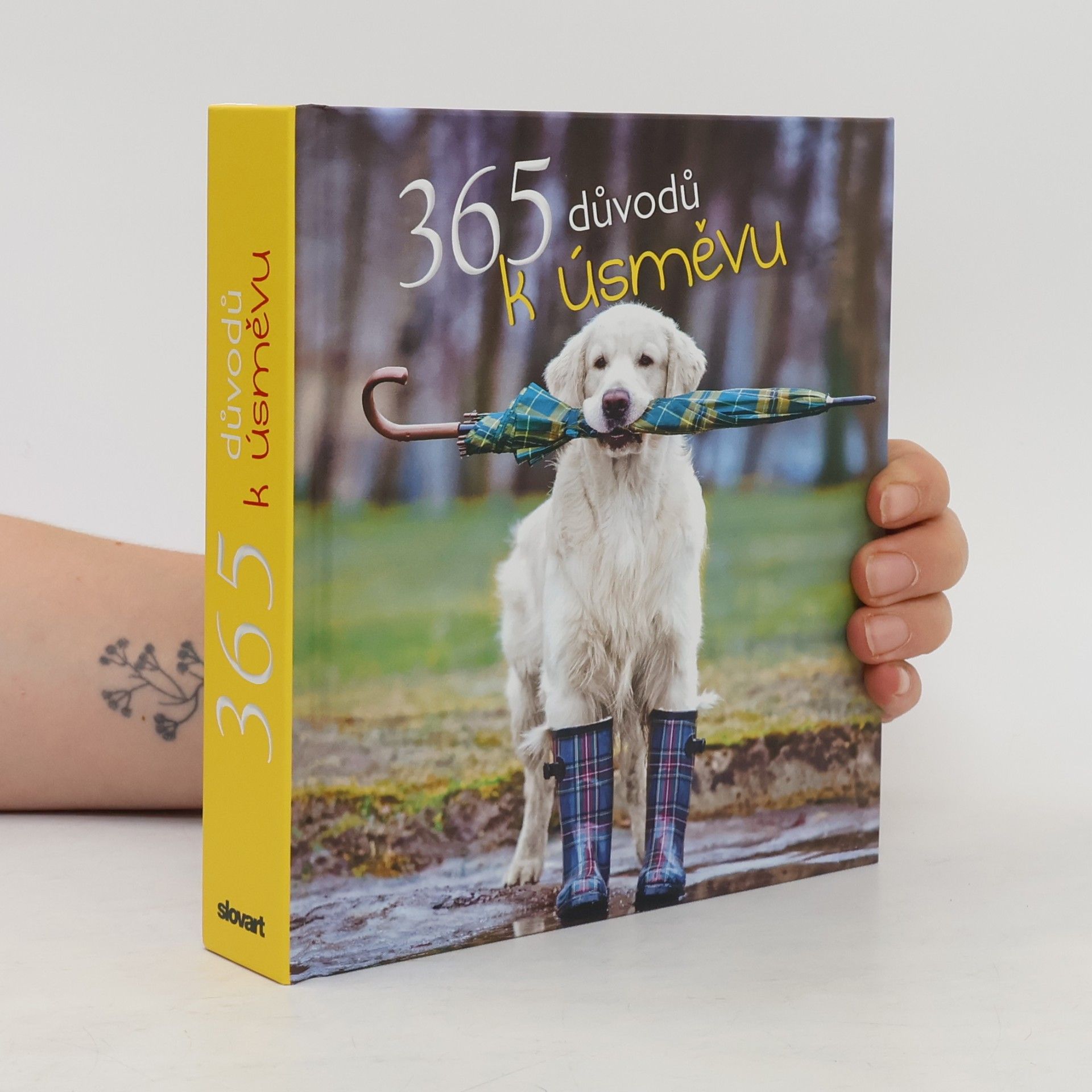 365 důvodů k úsměvu