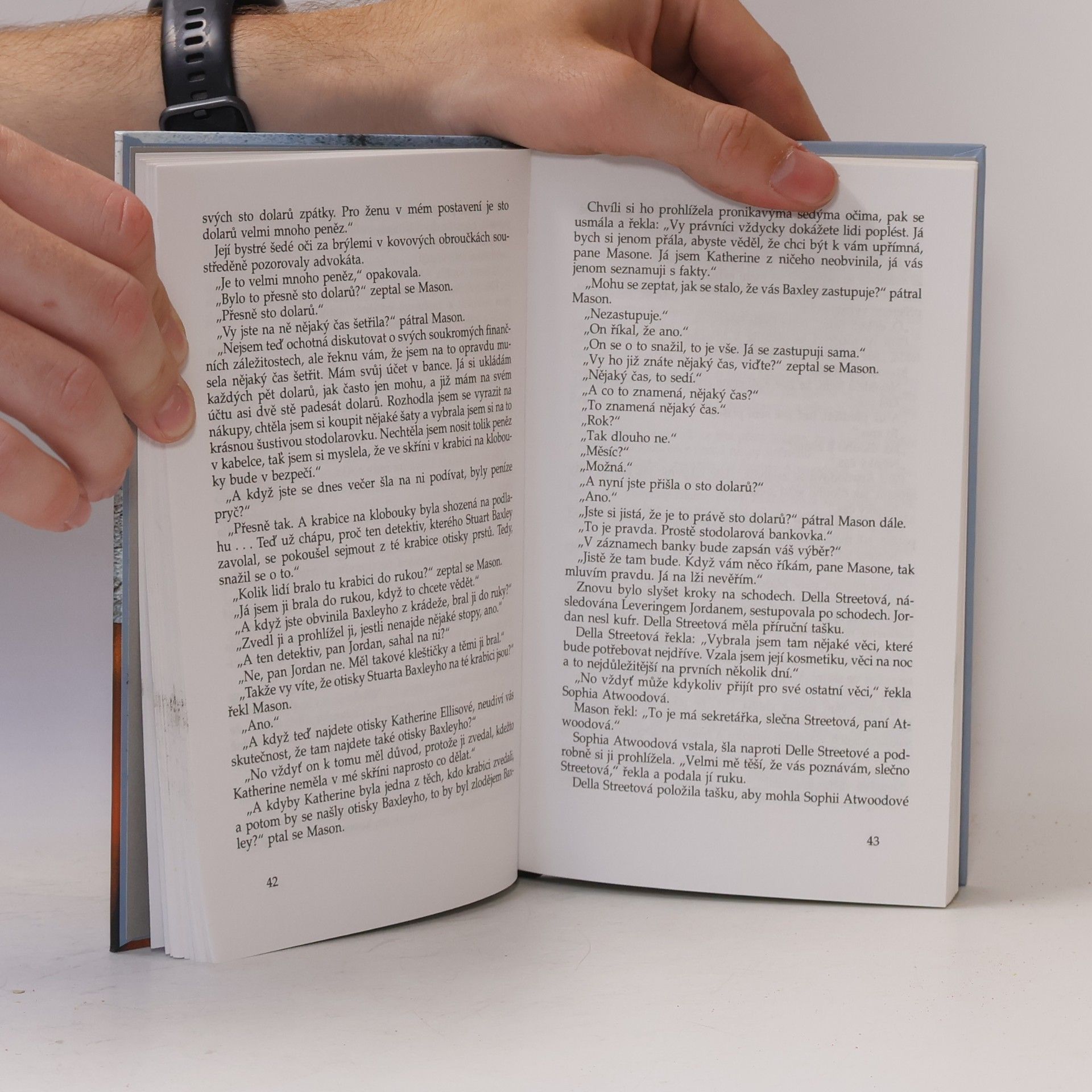 Erle Stanley Gardner Případ zděšené servírky