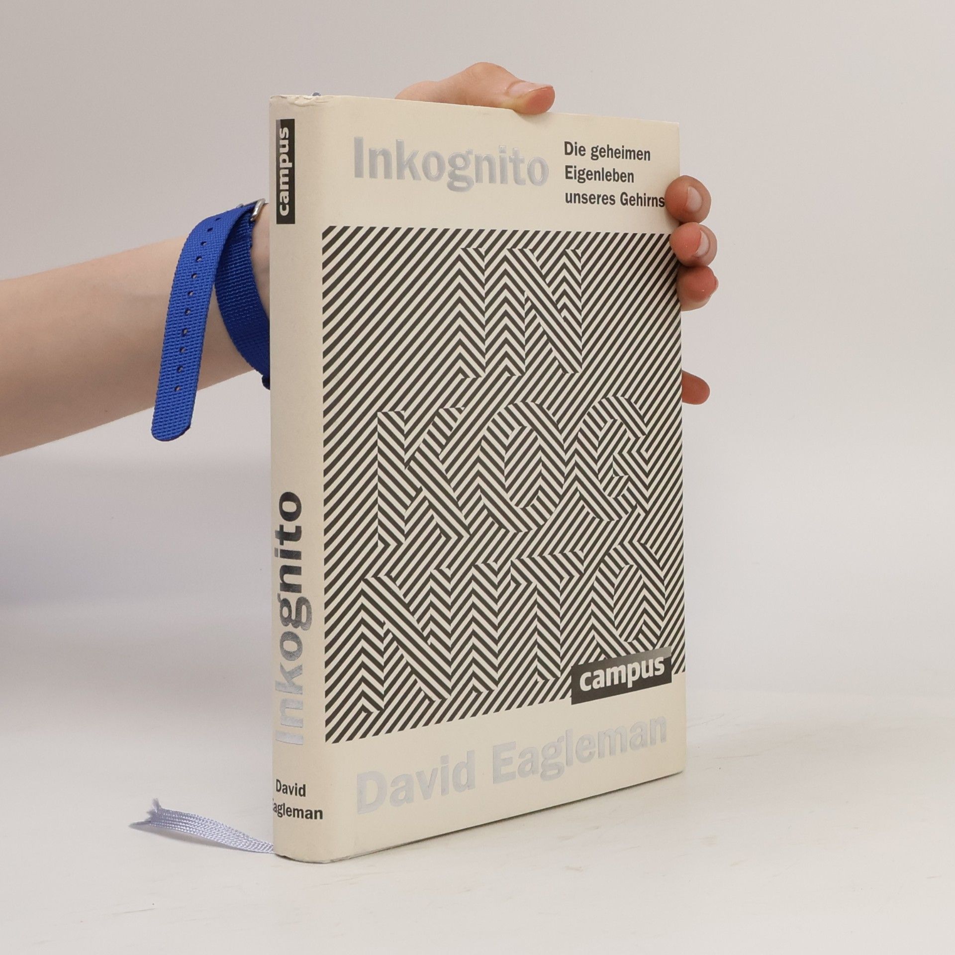 David Eagleman Inkognito
