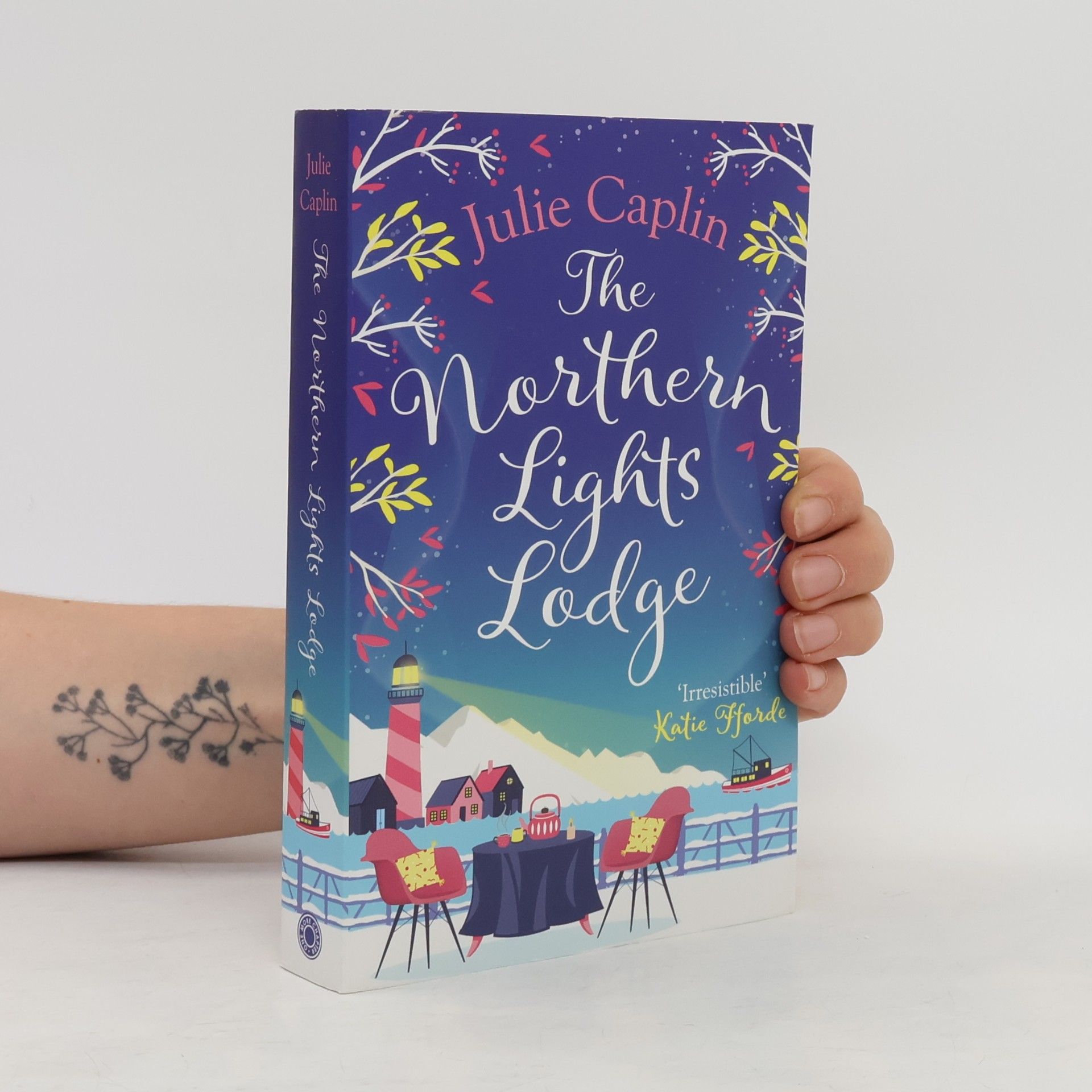 Julie Caplin The Northern Lights Lodge