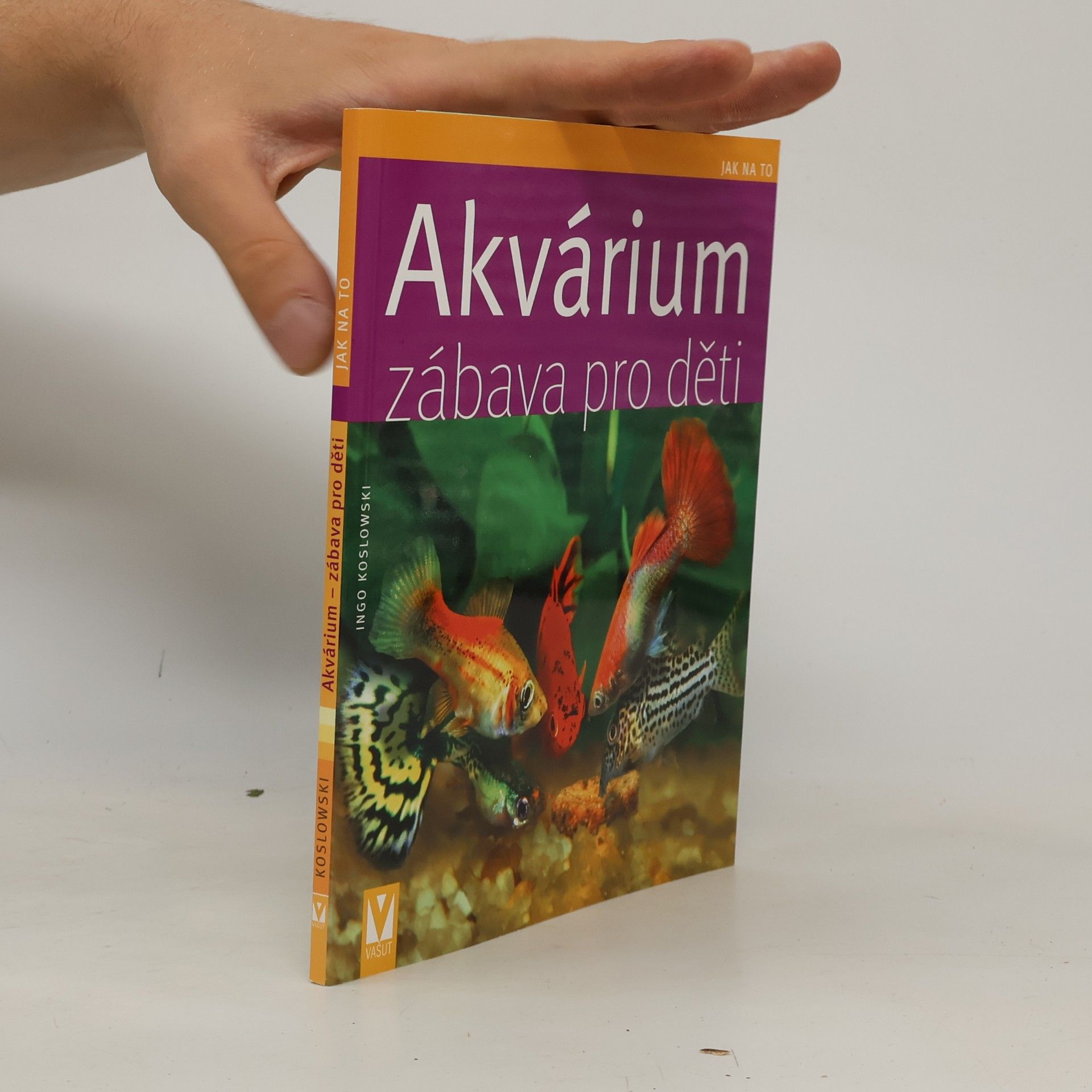Akvárium - zábava pro děti