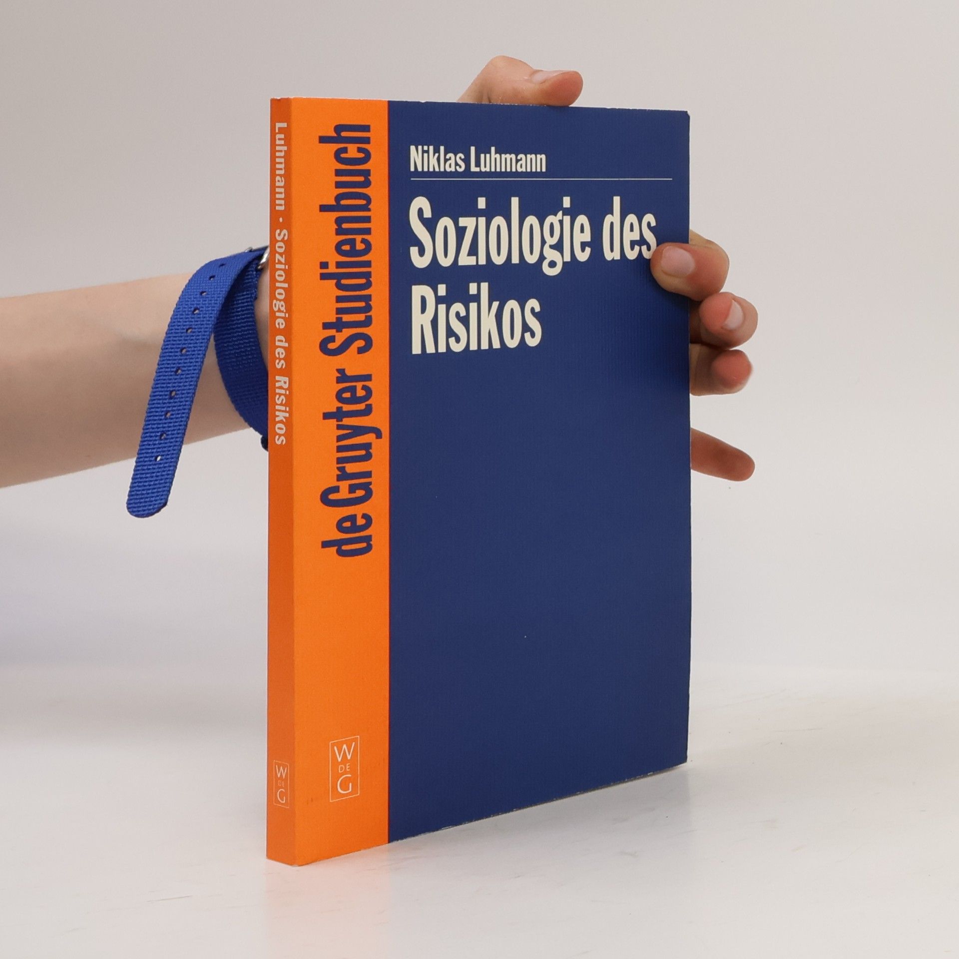 Soziologie des Risikos