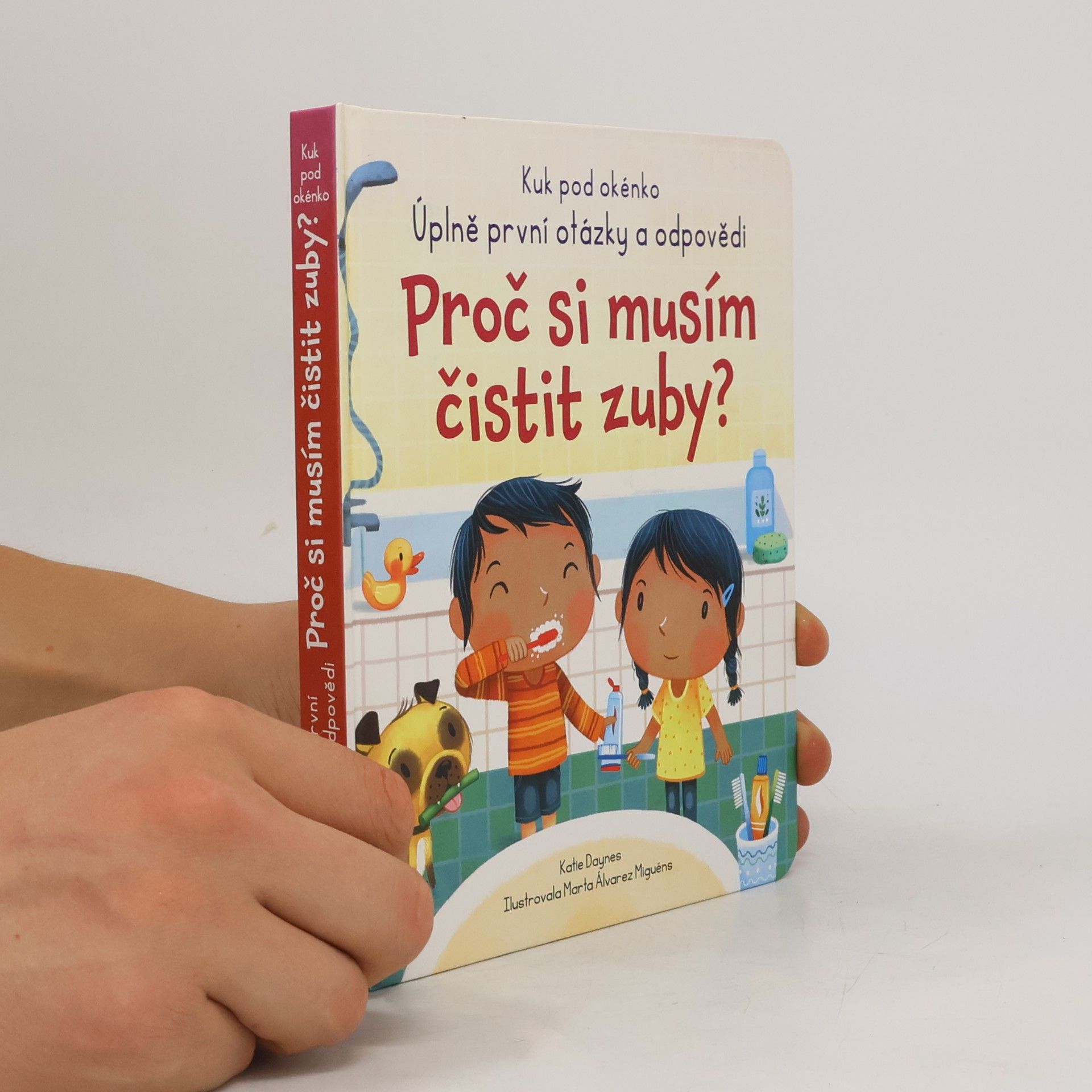 Katie Daynes Proč si musím čistit zuby?