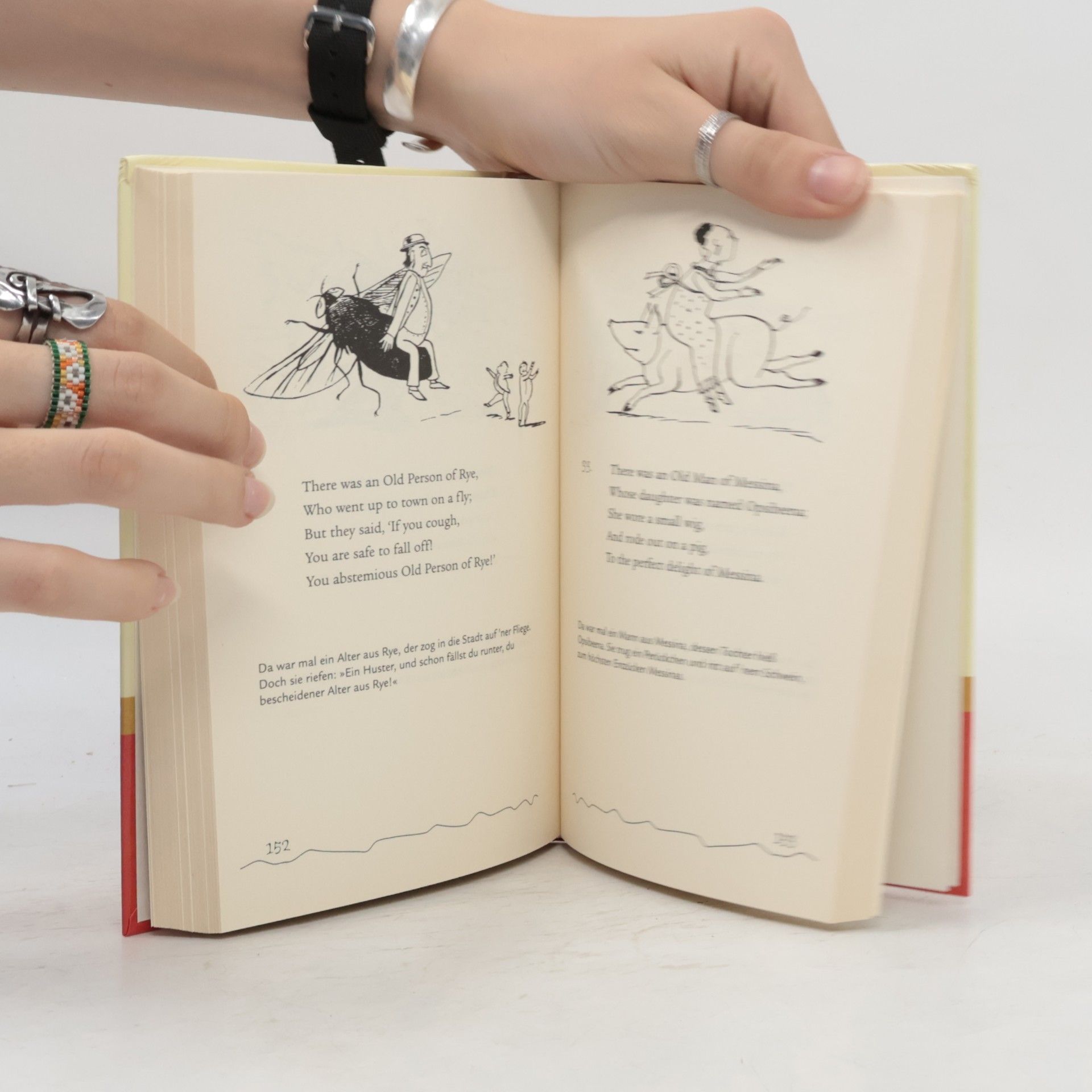 Edward Lear Das Buch der Limericks