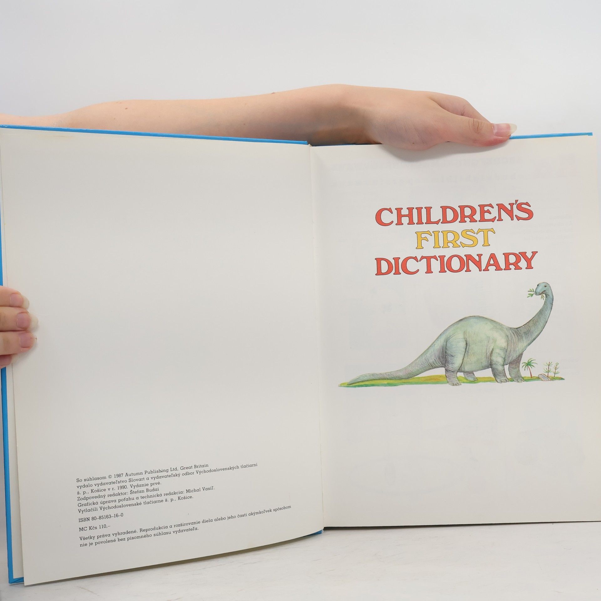 Autorenkollektiv Children's First Dictionary. Môj prvý anglický slovník