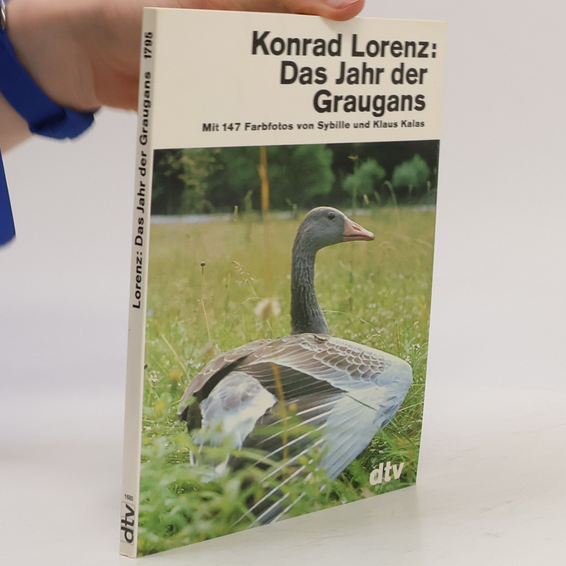 Konrad Lorenz Das Jahr der Graugans