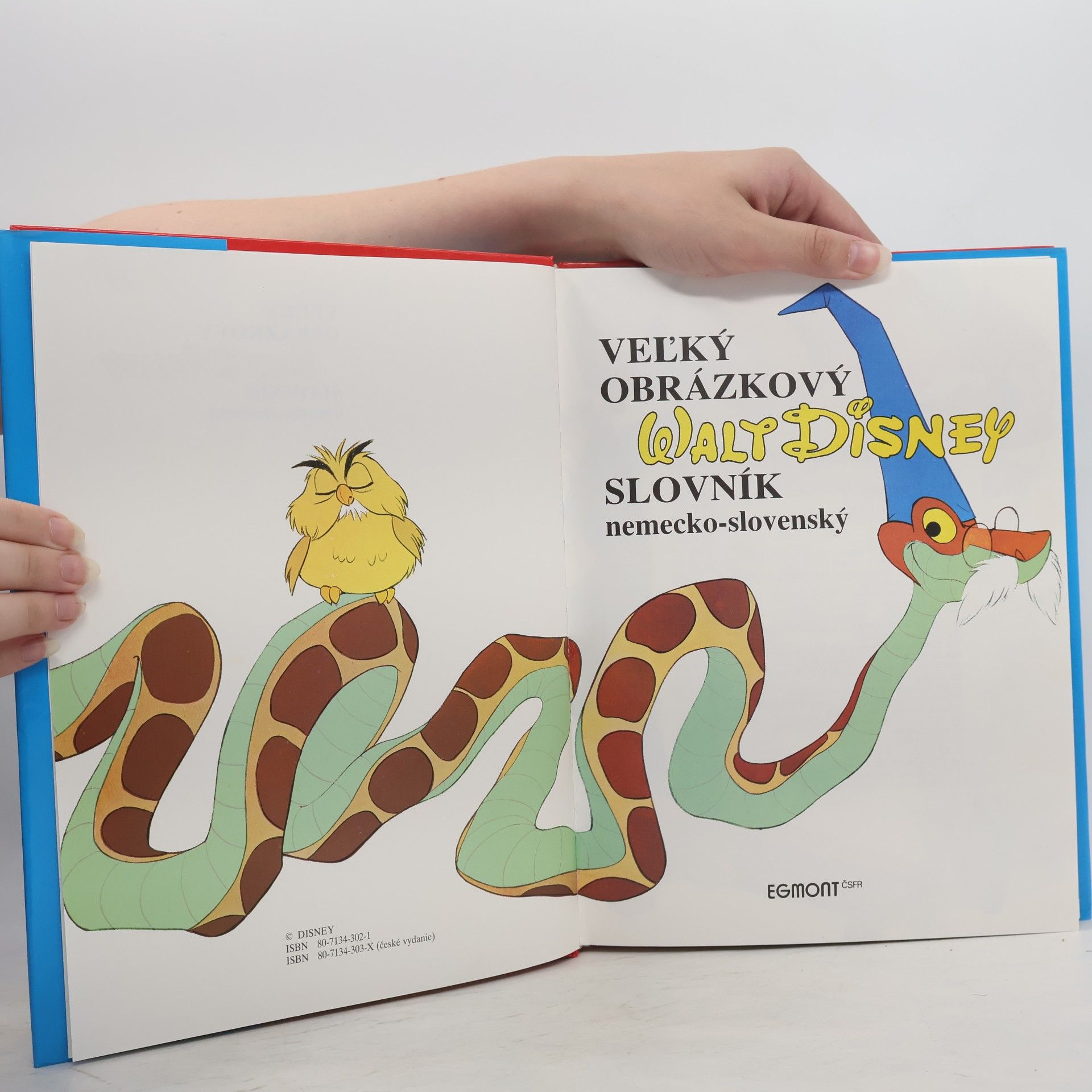 Walt Disney Veľký obrázkový slovník německo-slovenský