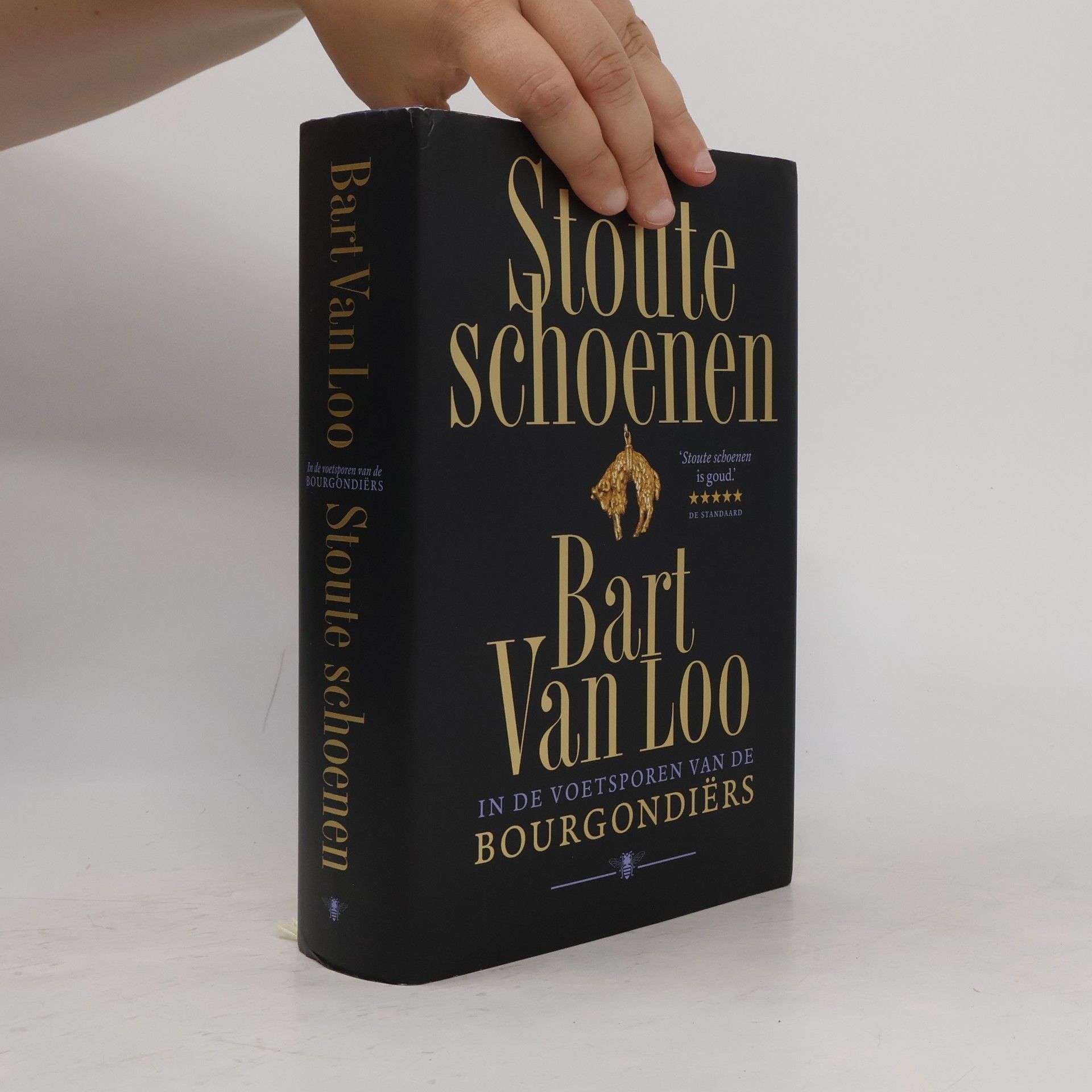Stoute schoenen: in de voetsporen van de Bourgondiërs