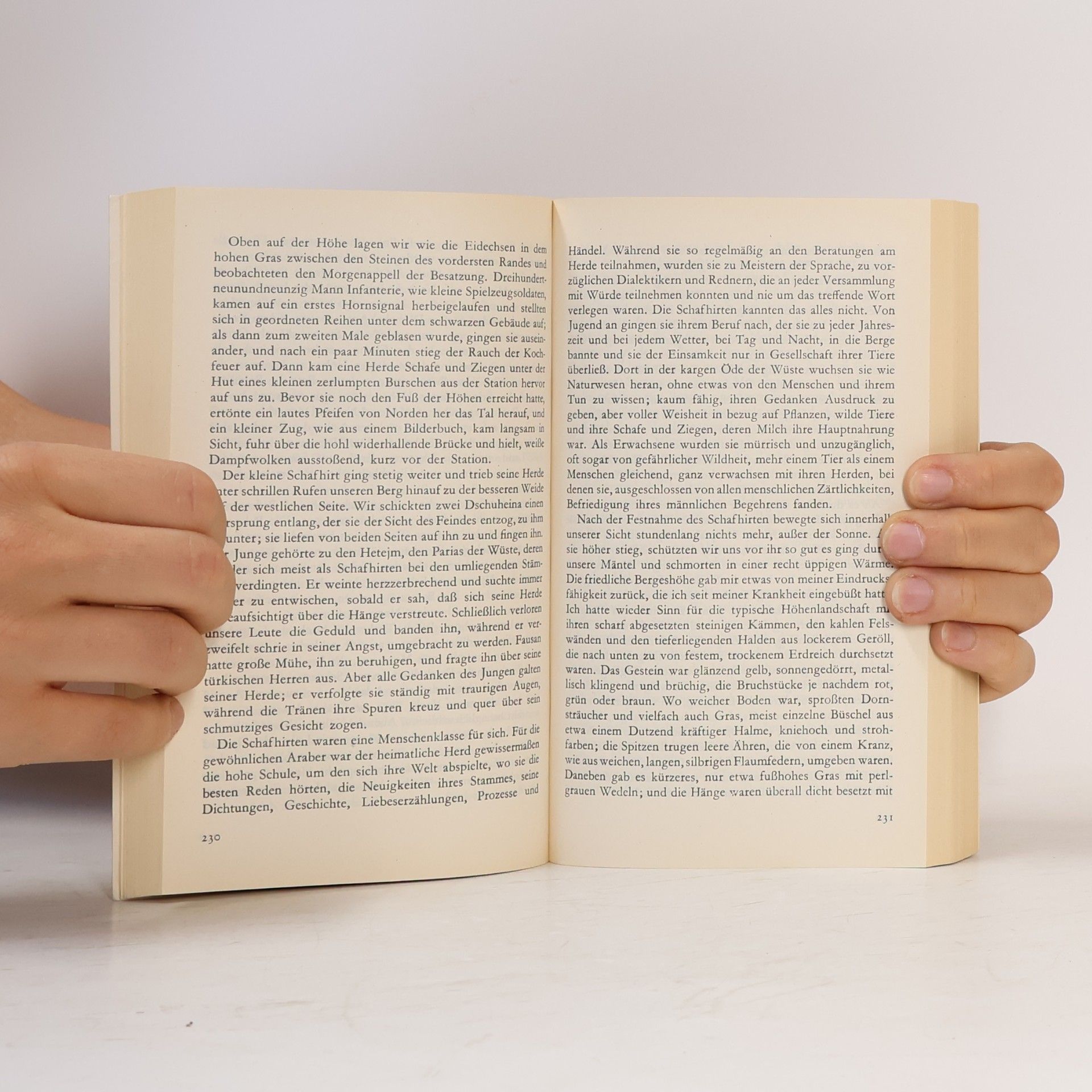 T. E. Lawrence Die sieben Säulen der Weisheit