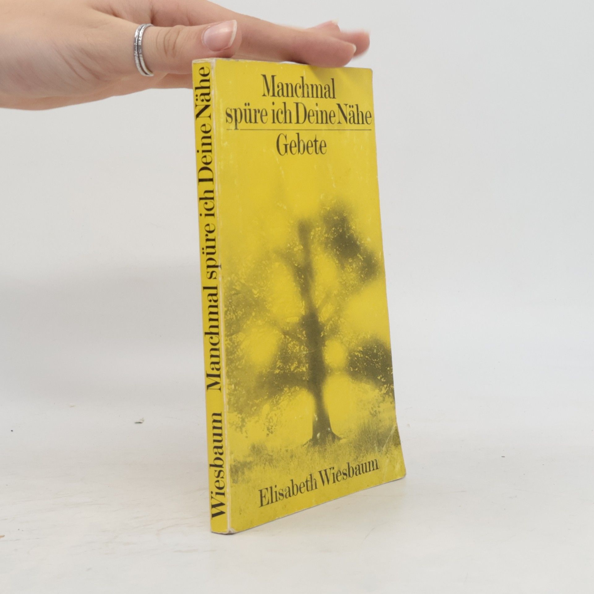 Elisabeth Wiesbaum Manchmal spüre ich Deine Nähe
