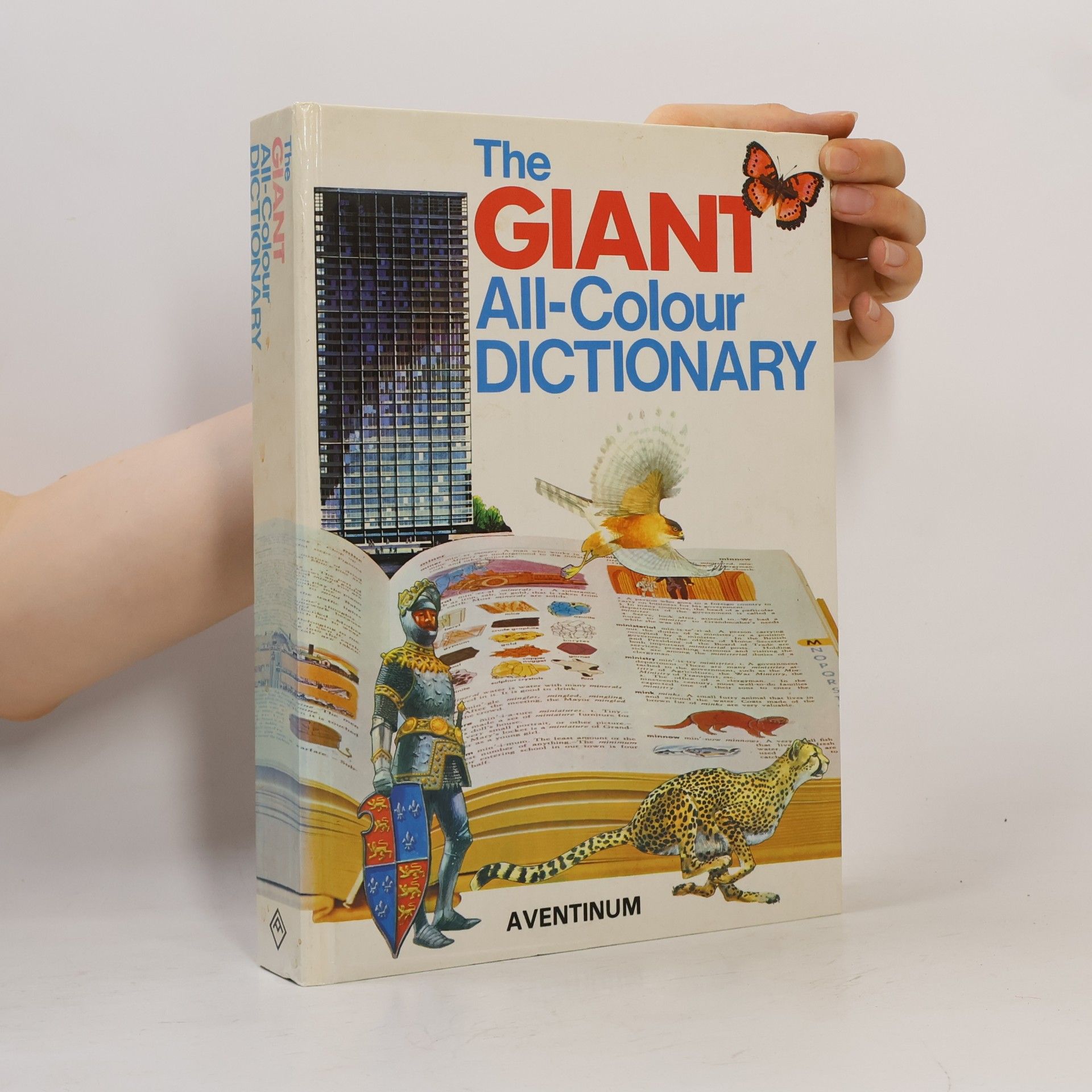 Stuart A. Courtis The Giant All-Colour Dictionary