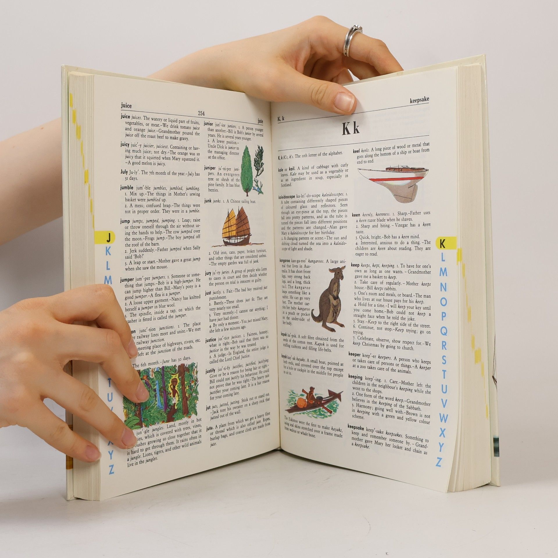 Stuart A. Courtis The Giant All-Colour Dictionary