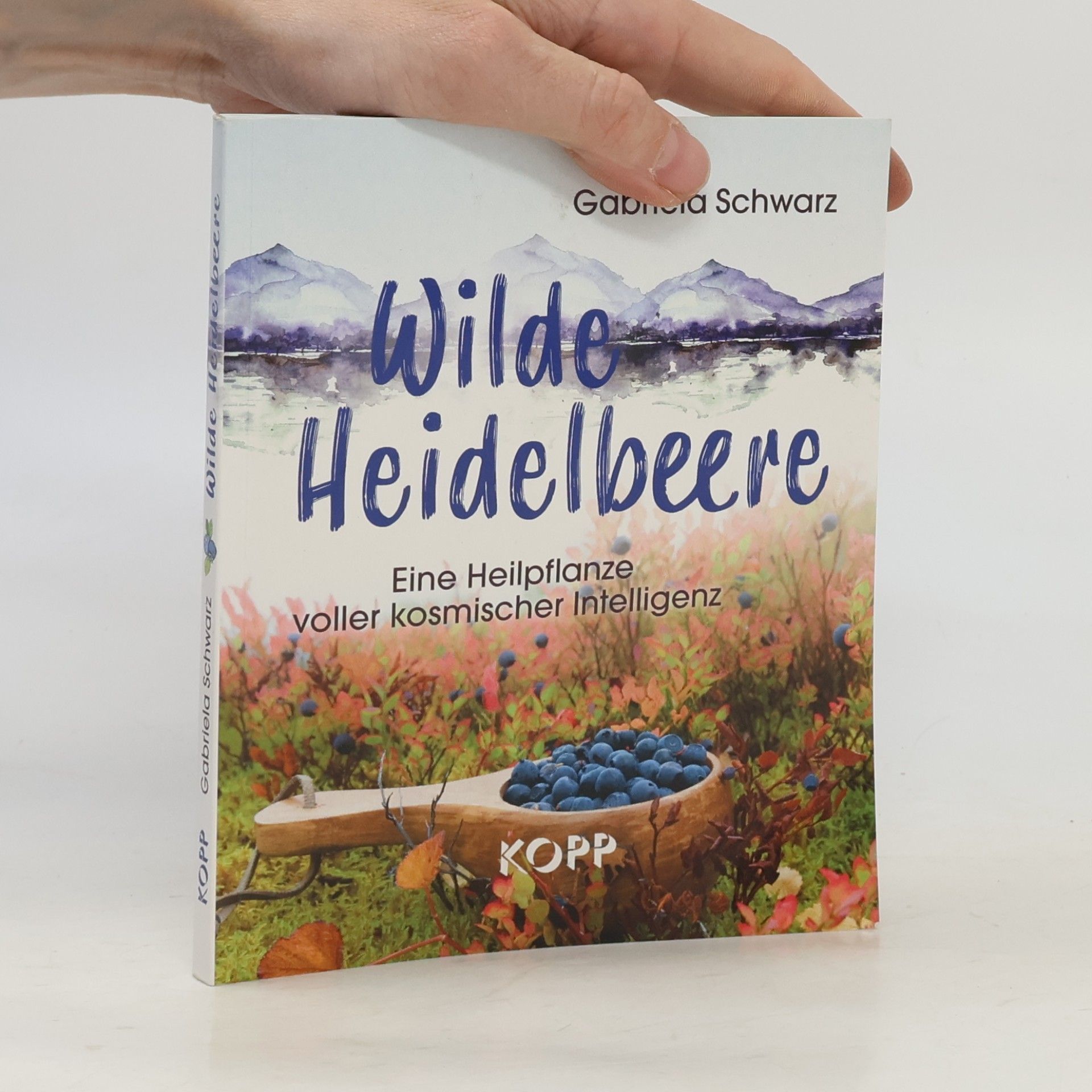 Wilde Heidelbeere