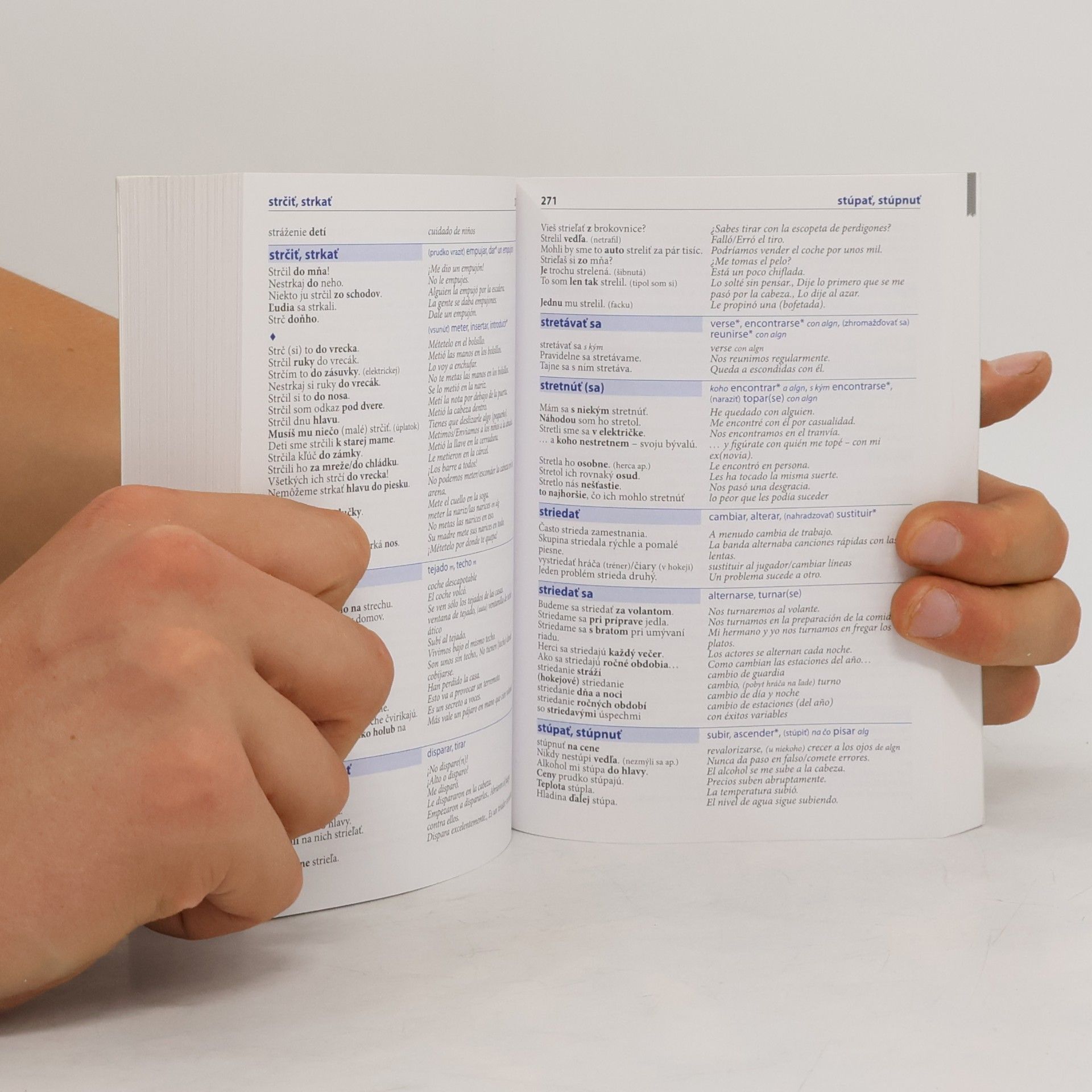 Autorenkollektiv Slovensko-španielsky hovorník