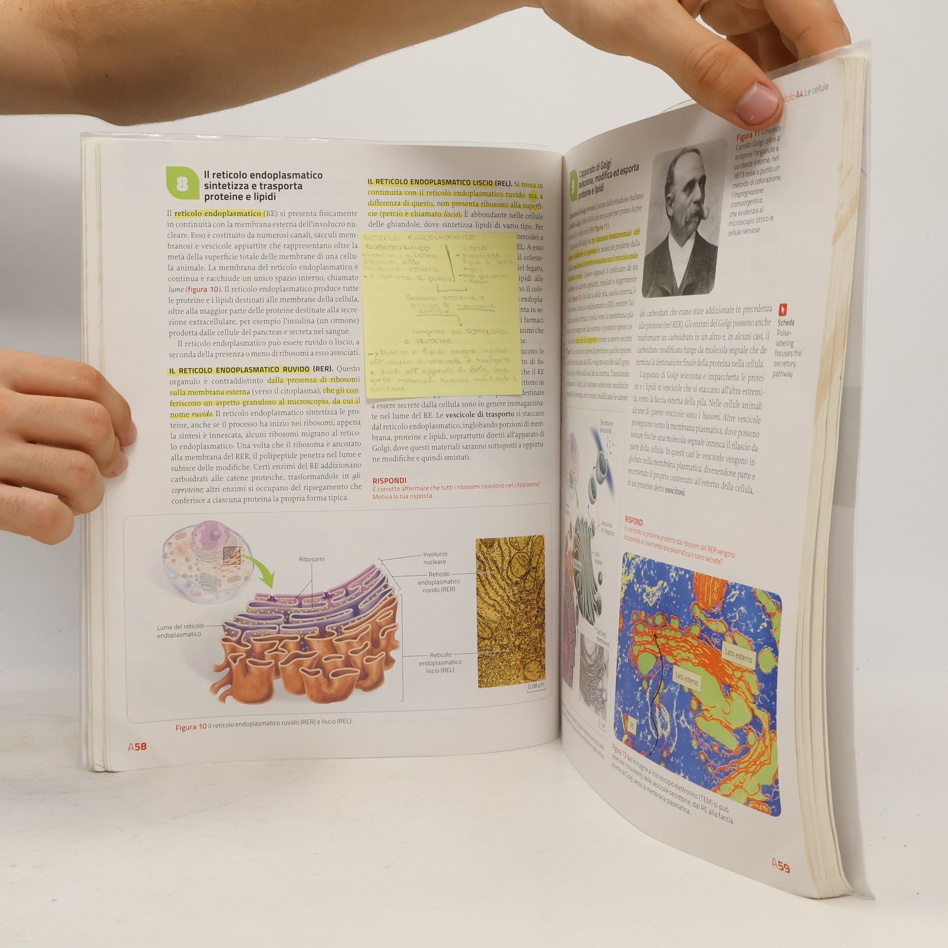Sylvia S. Mader Immagini e concetti della biologia