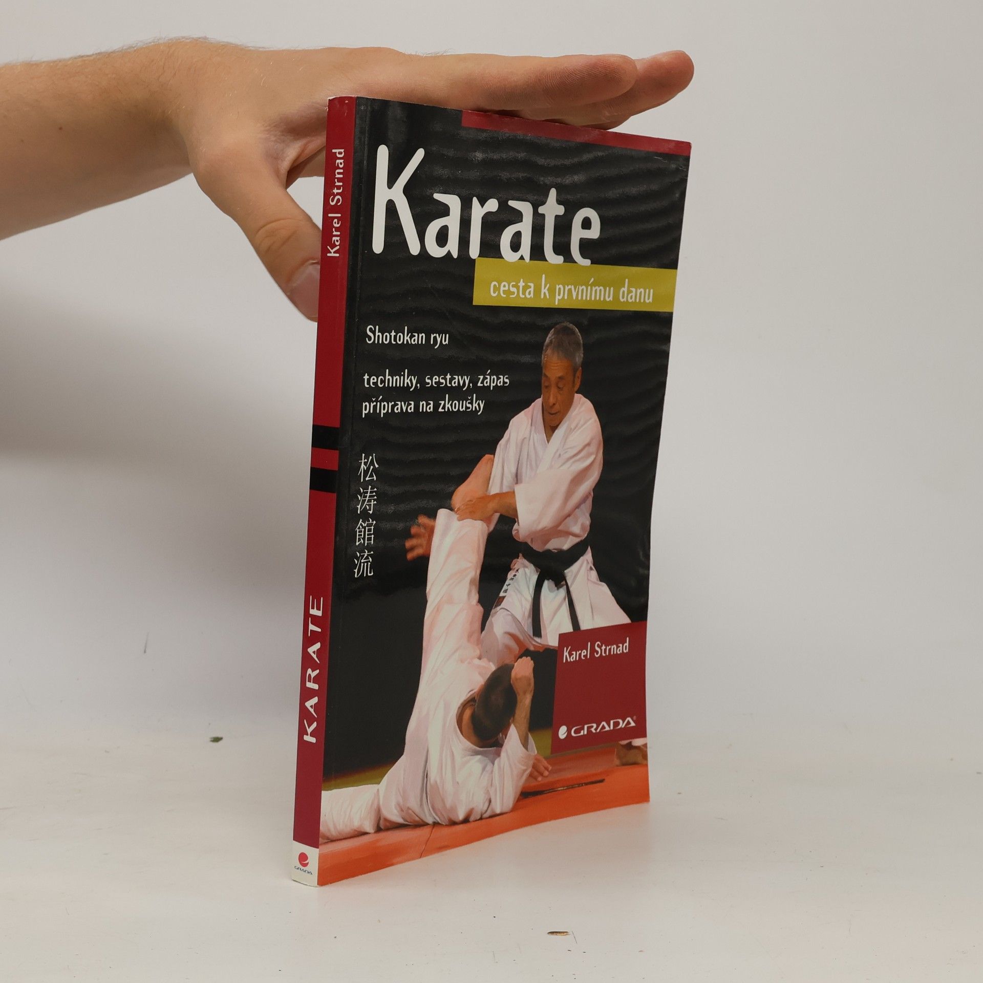 Karel Strnad Karate. Cesta k prvnímu danu