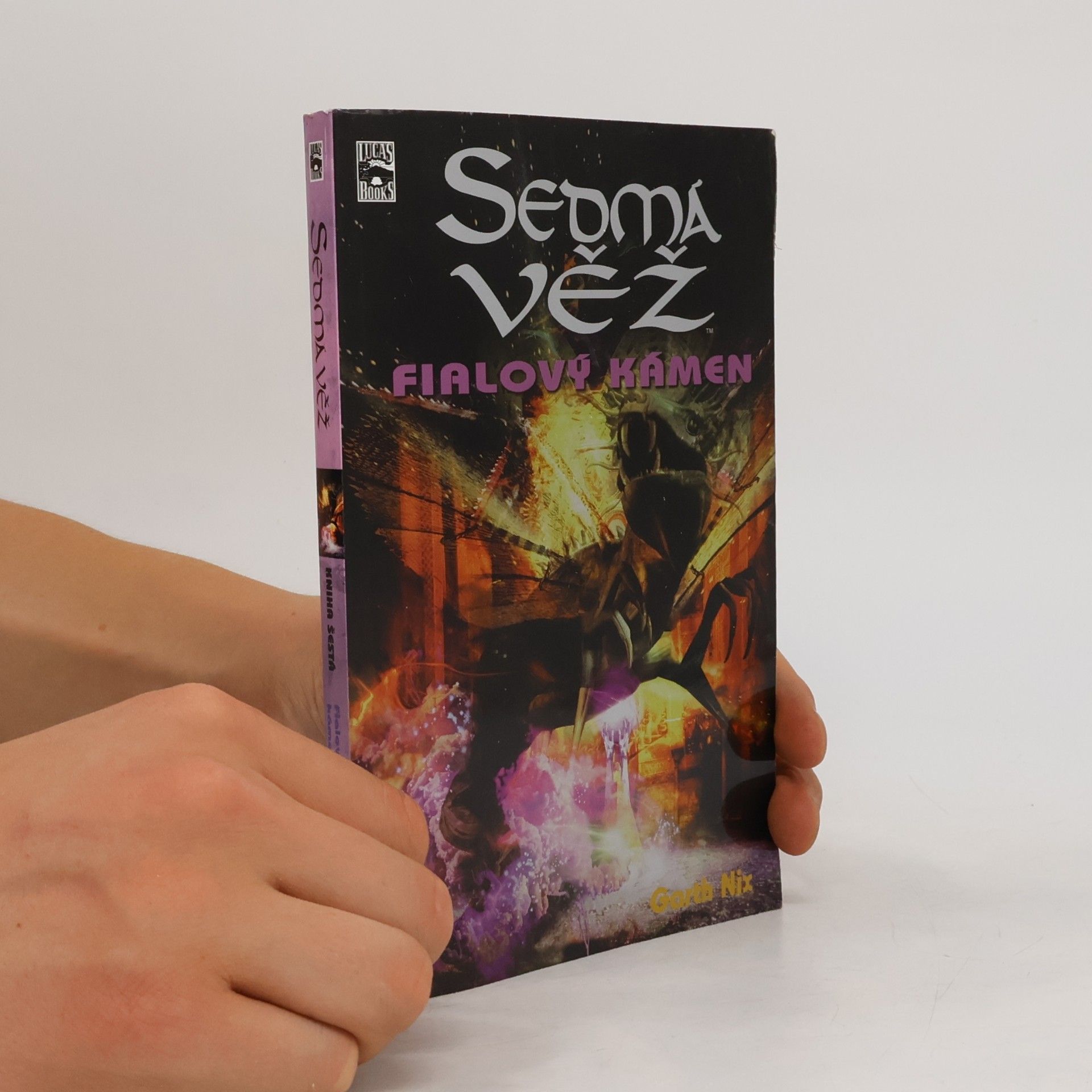 Garth Nix Fialový kámen