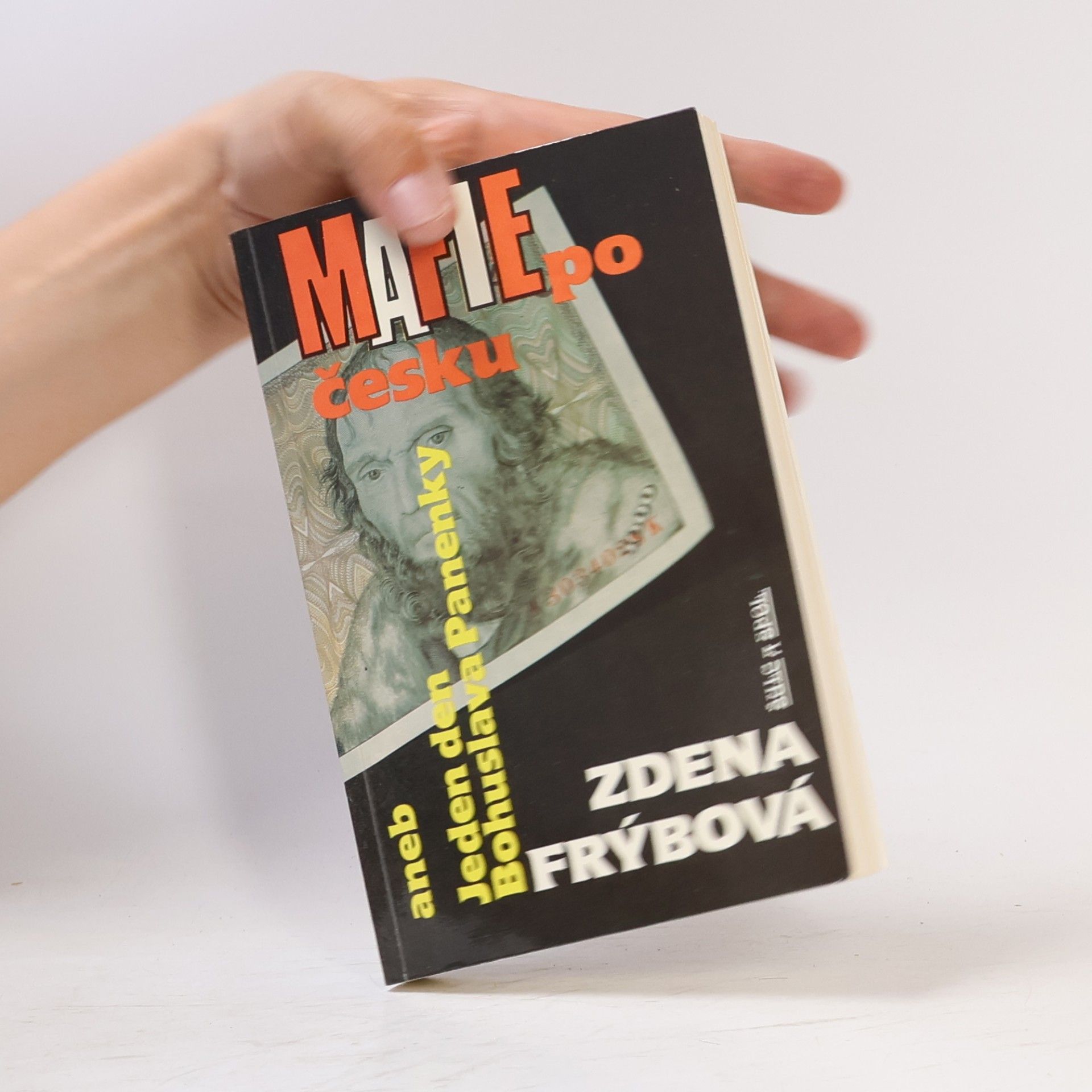 Zdena Frýbová Mafie po česku, aneb, Jeden den Bohuslava Panenky