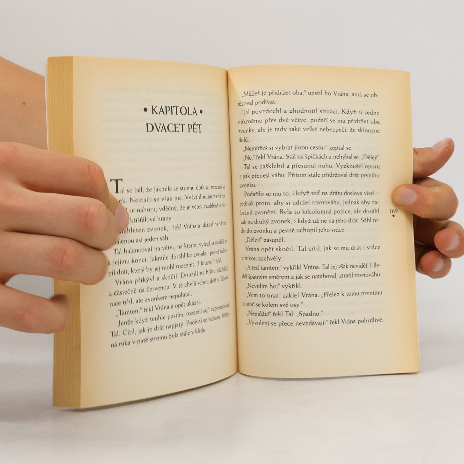 Garth Nix Nad Závojem