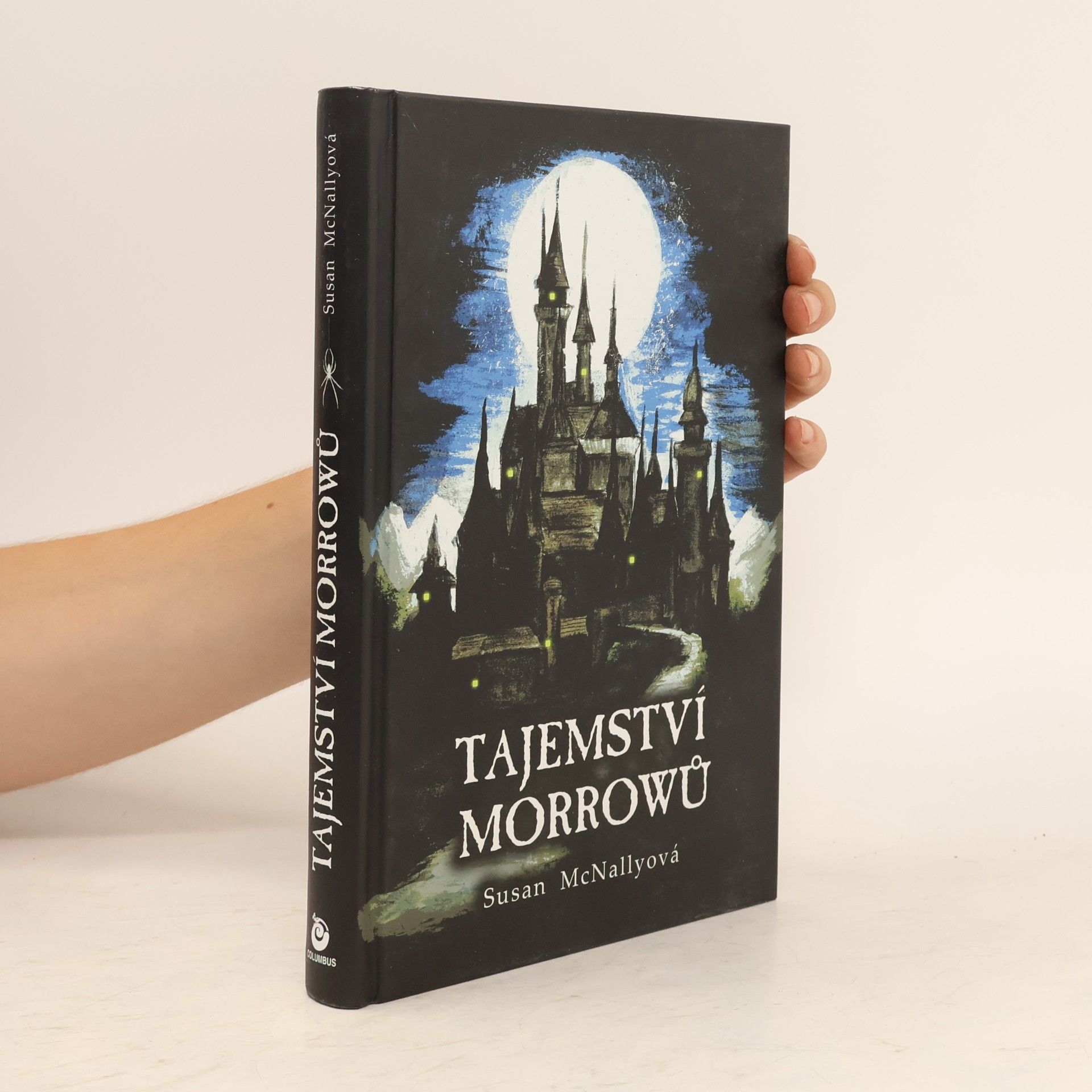Susan McNally Tajemství Morrowů.