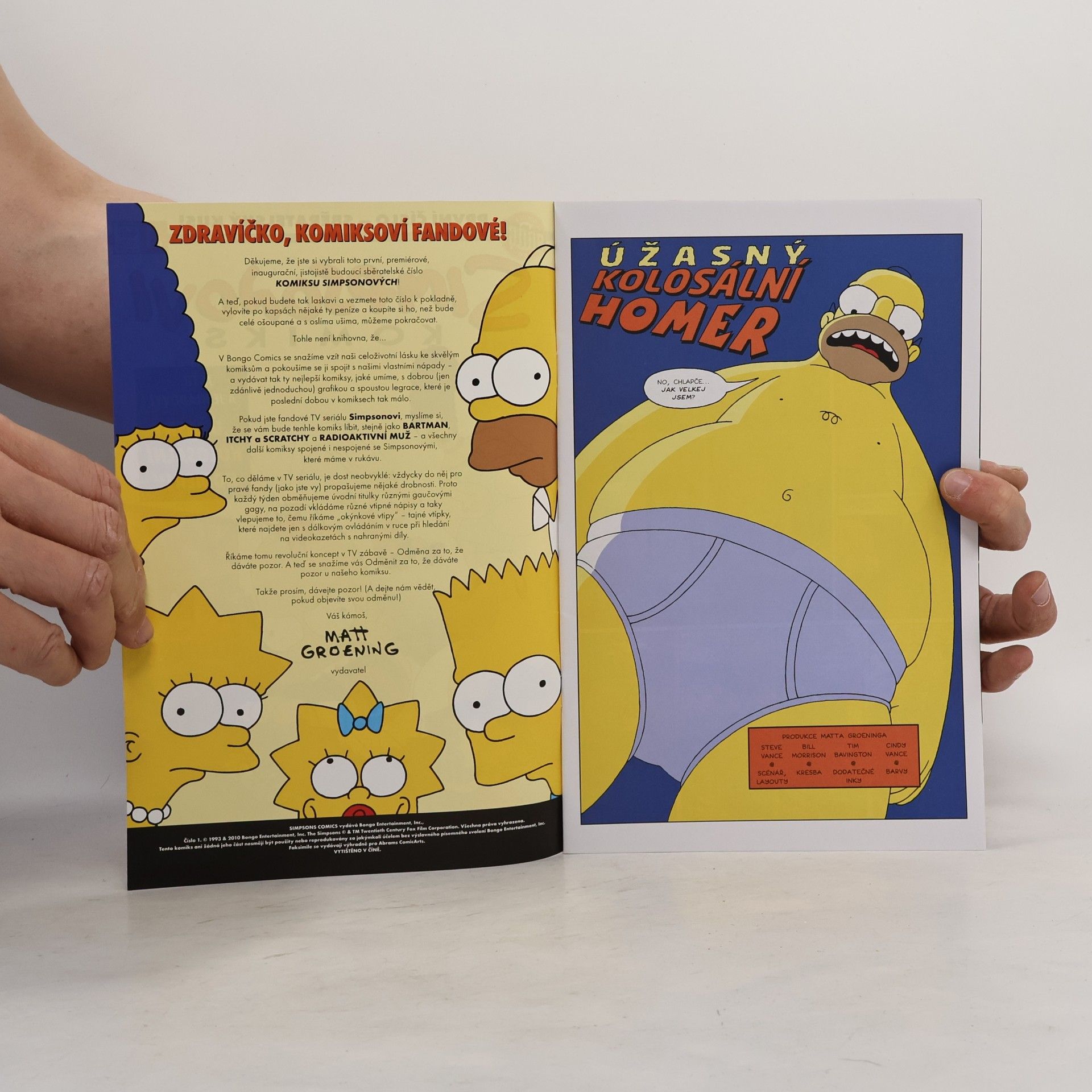 Matt Groening Simpsonovi komiks č.1