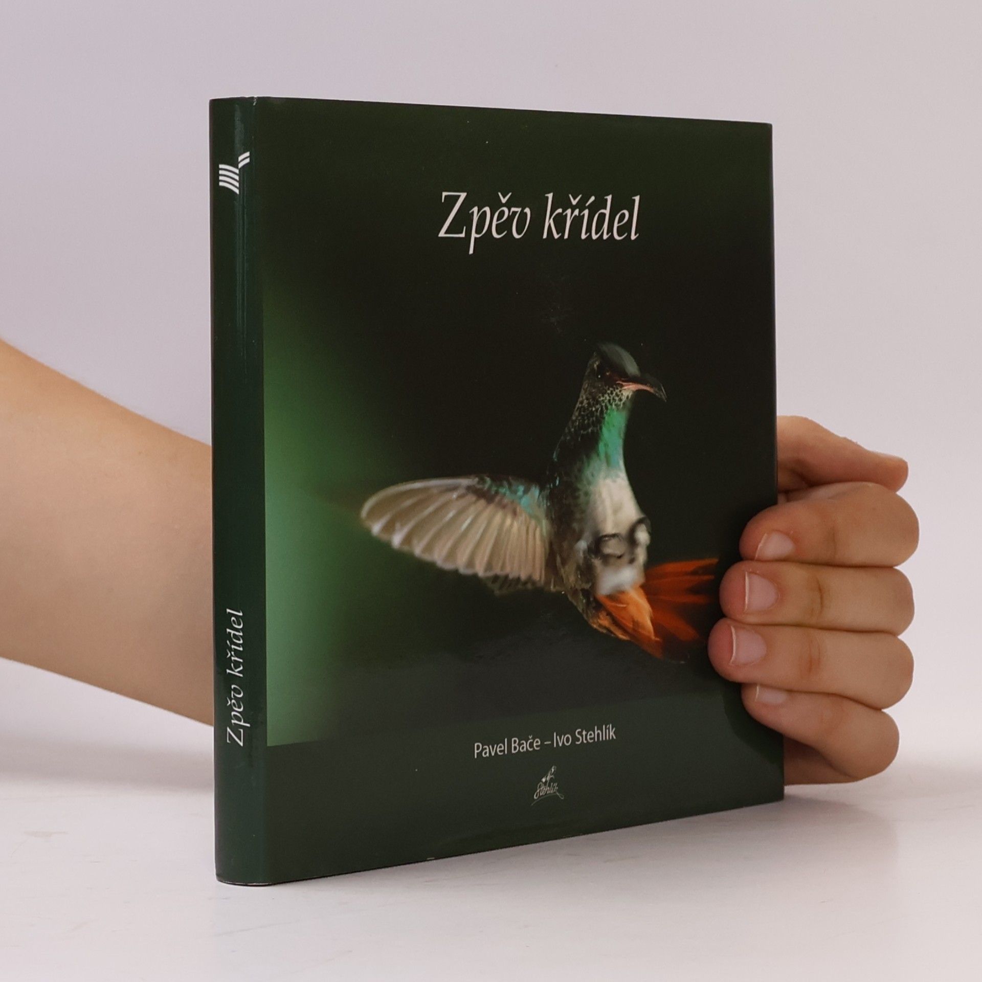 Ivo Stehlík Zpěv křídel